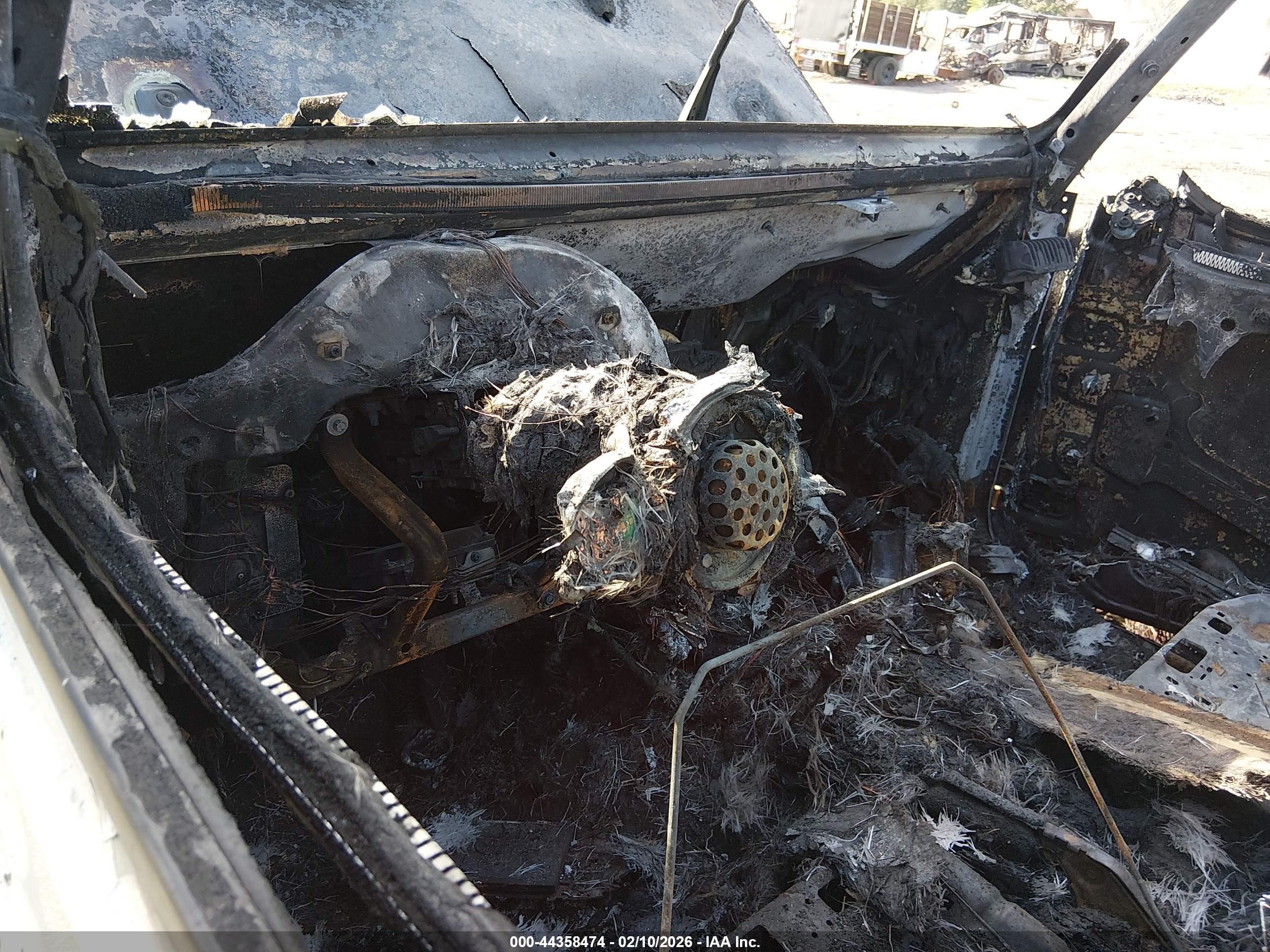 JEEP WRANGLER image 7