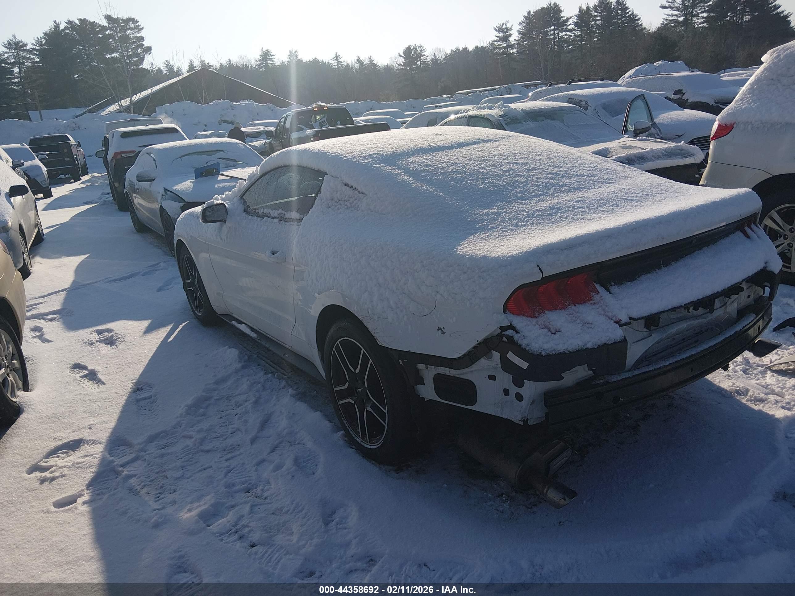 FORD MUSTANG image 3