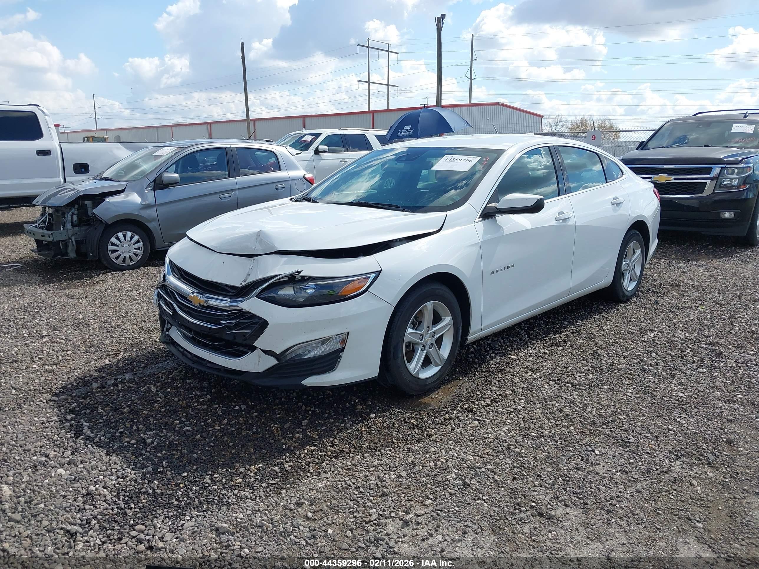 CHEVROLET MALIBU image 2