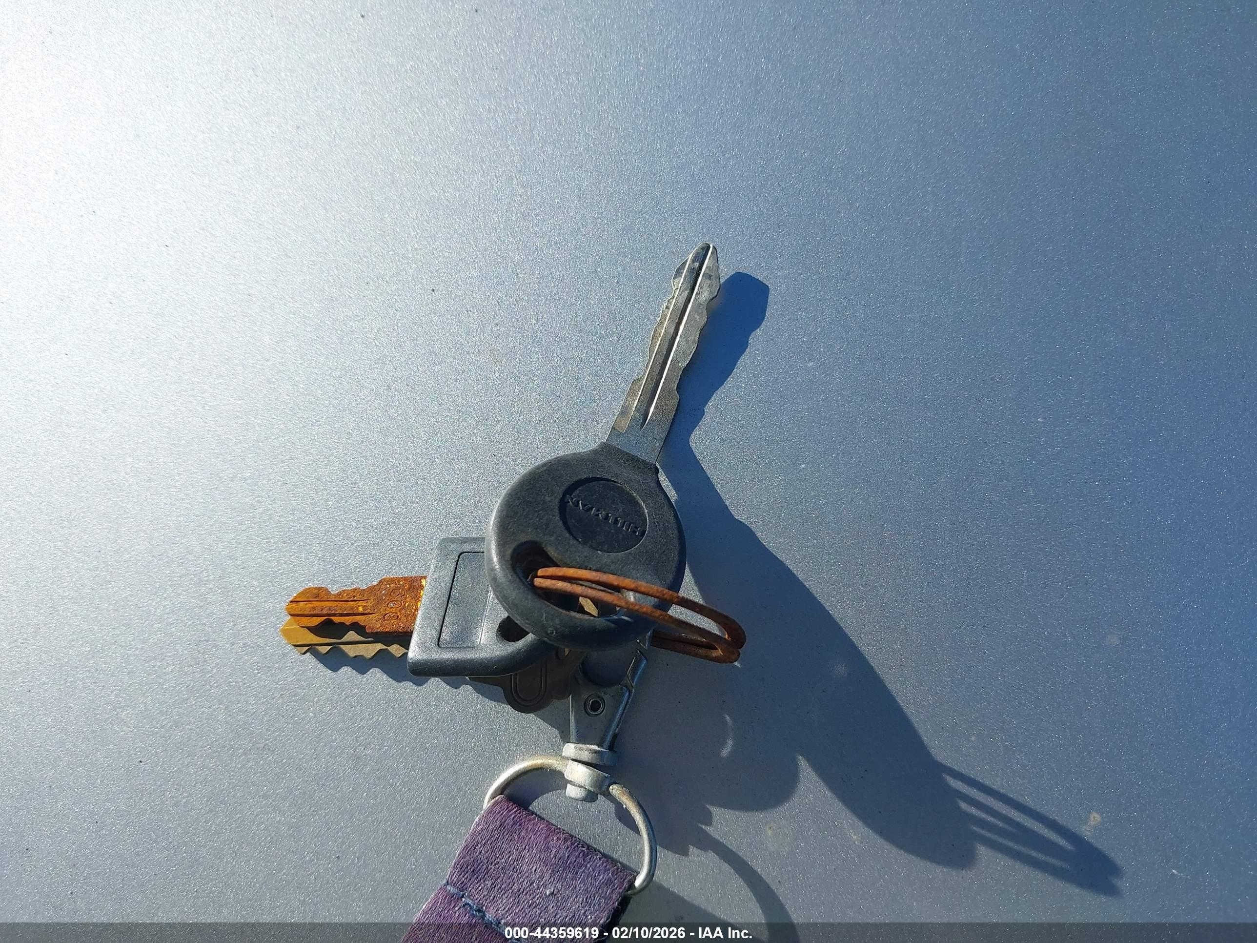 JEEP WRANGLER image 11