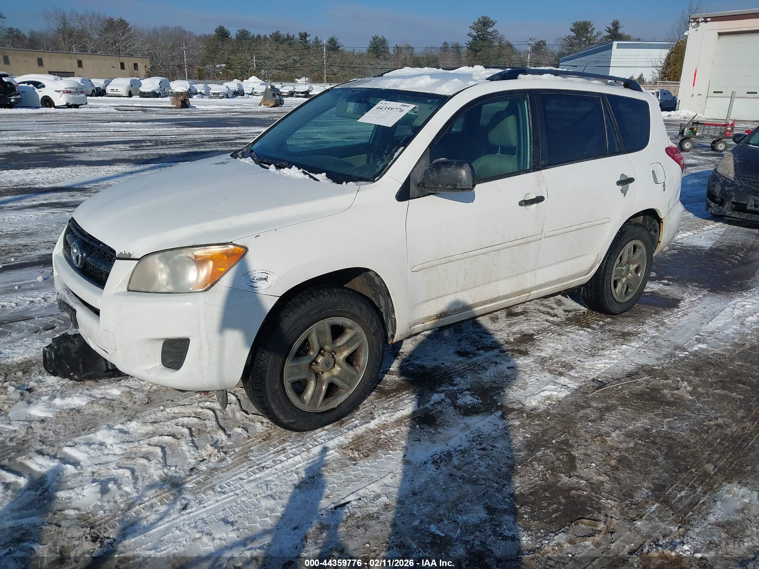 TOYOTA RAV4 image 2