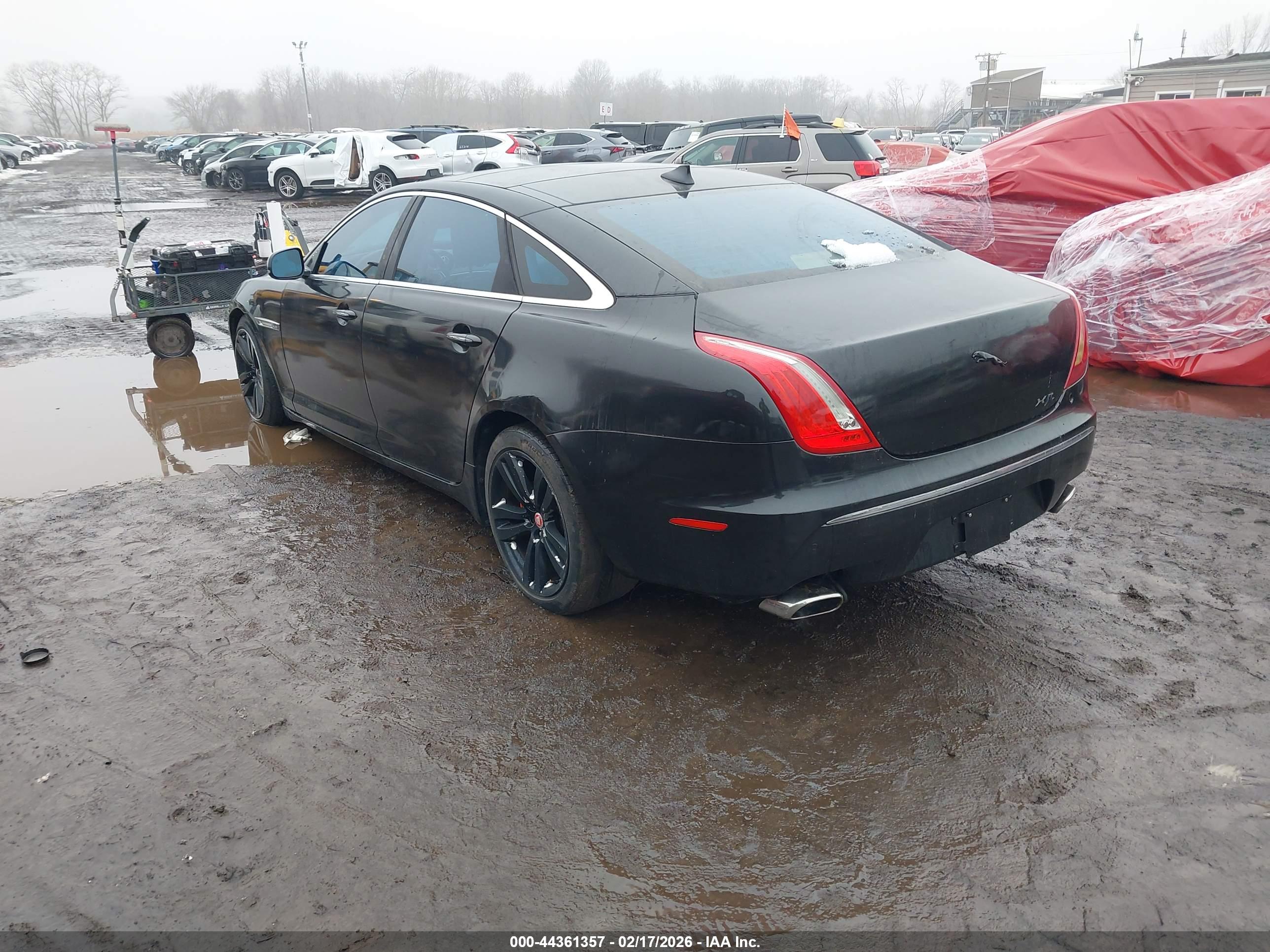 JAGUAR XJ image 3