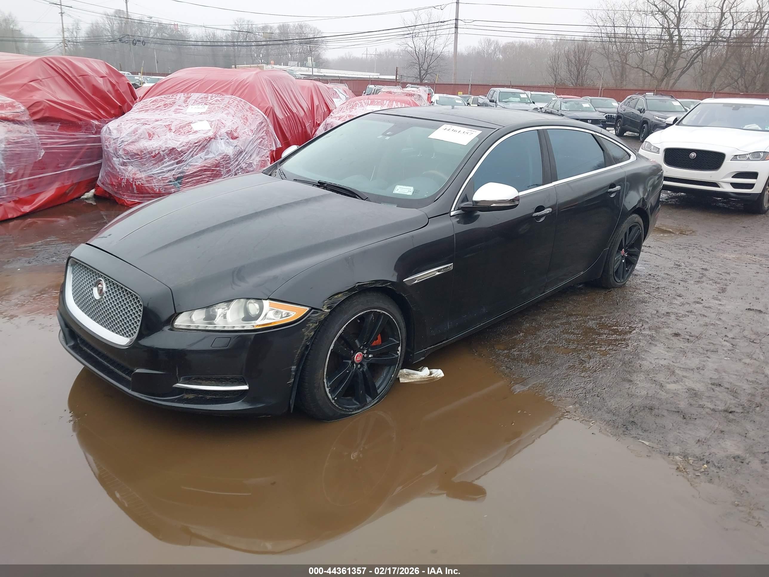 JAGUAR XJ image 6