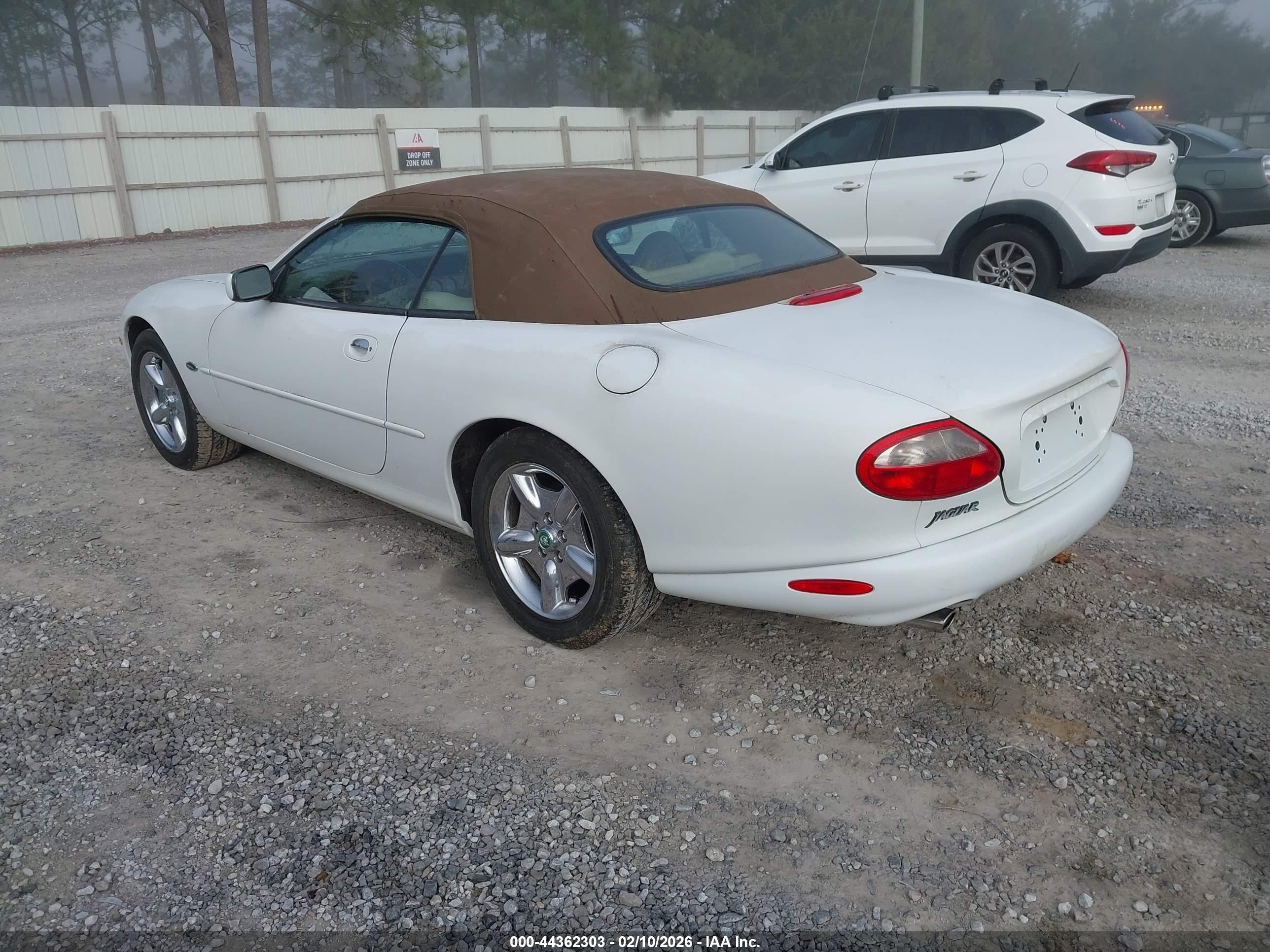 JAGUAR XK8 image 3