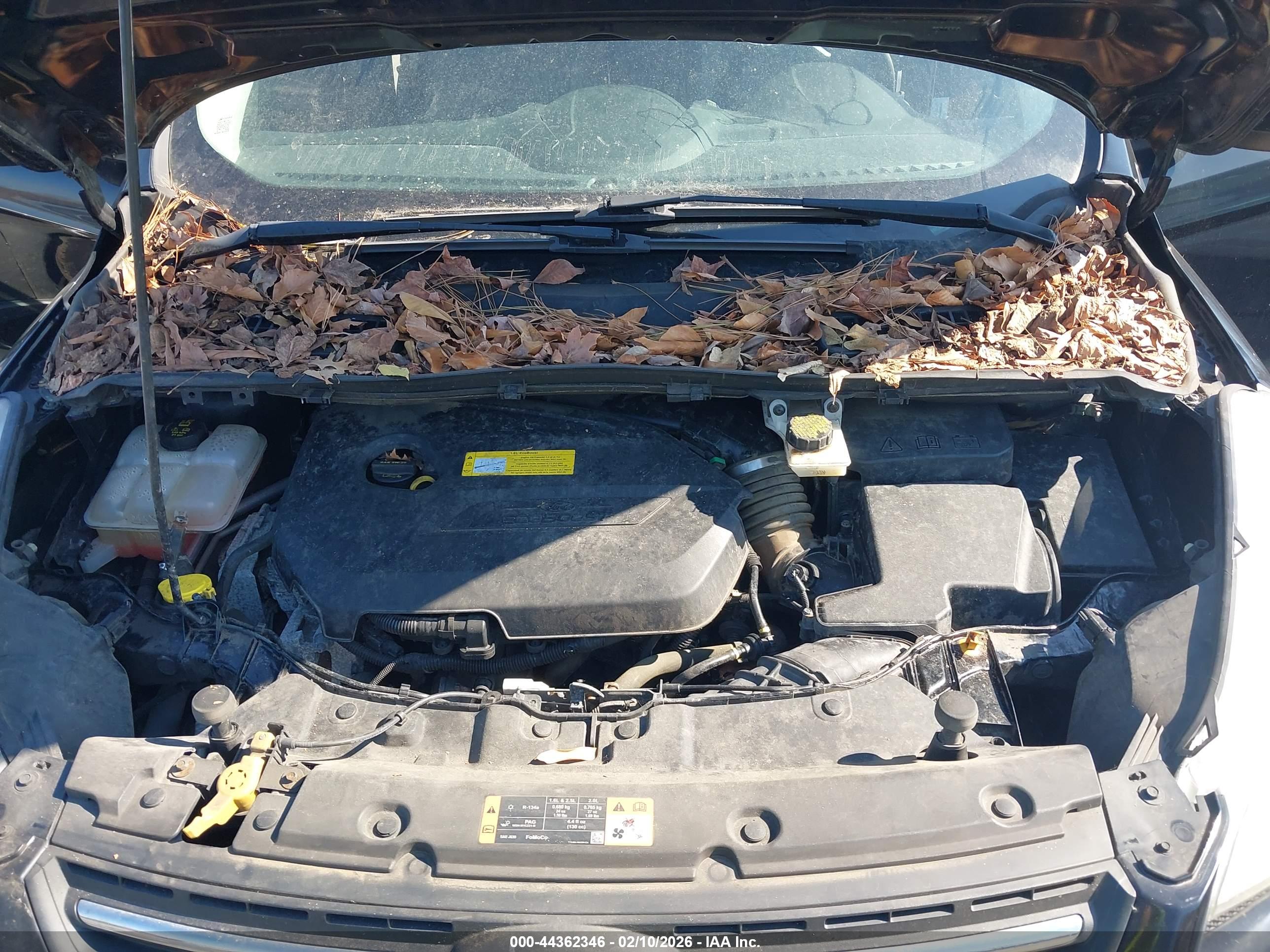 FORD ESCAPE image 10
