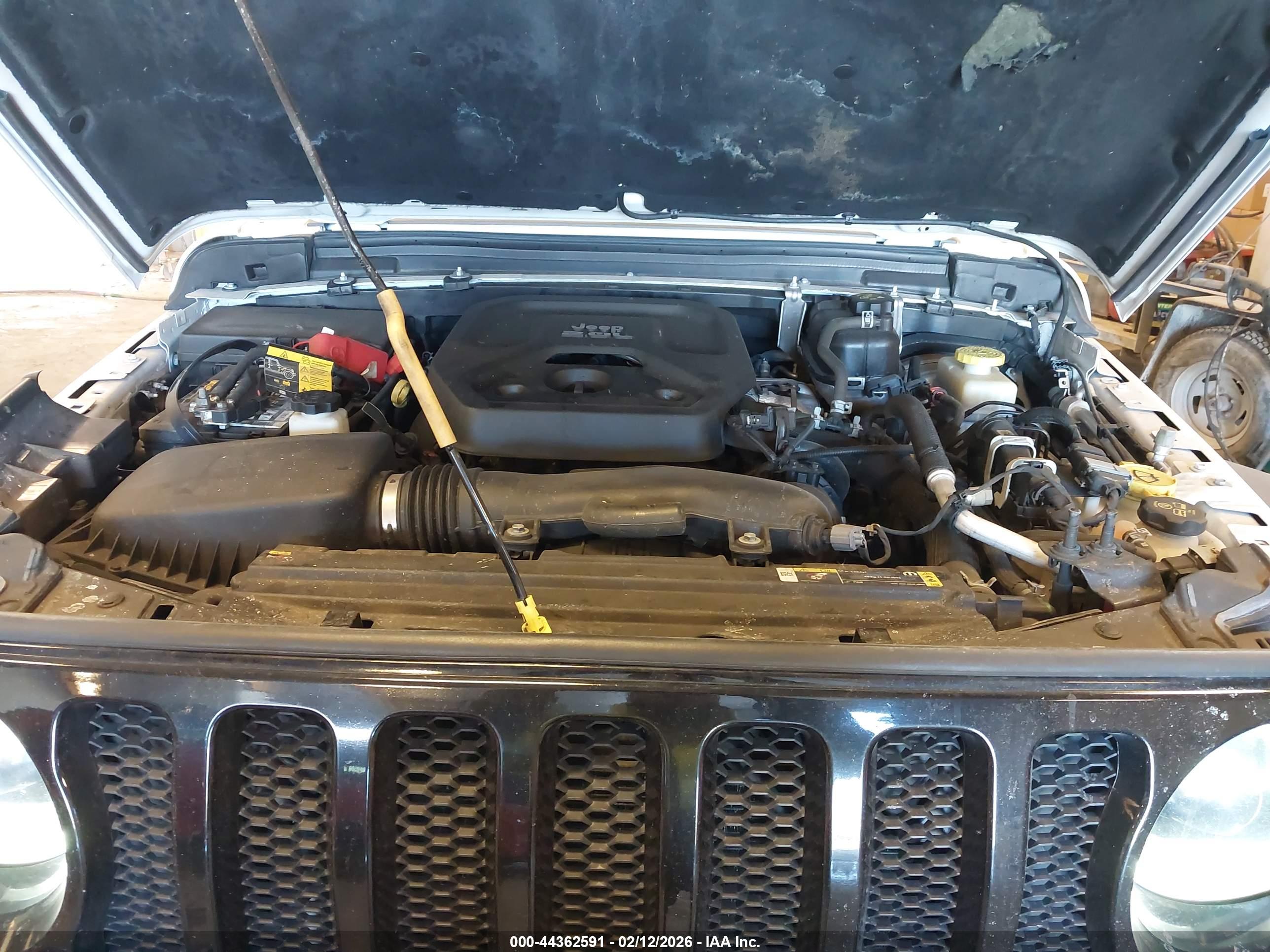 JEEP WRANGLER image 10