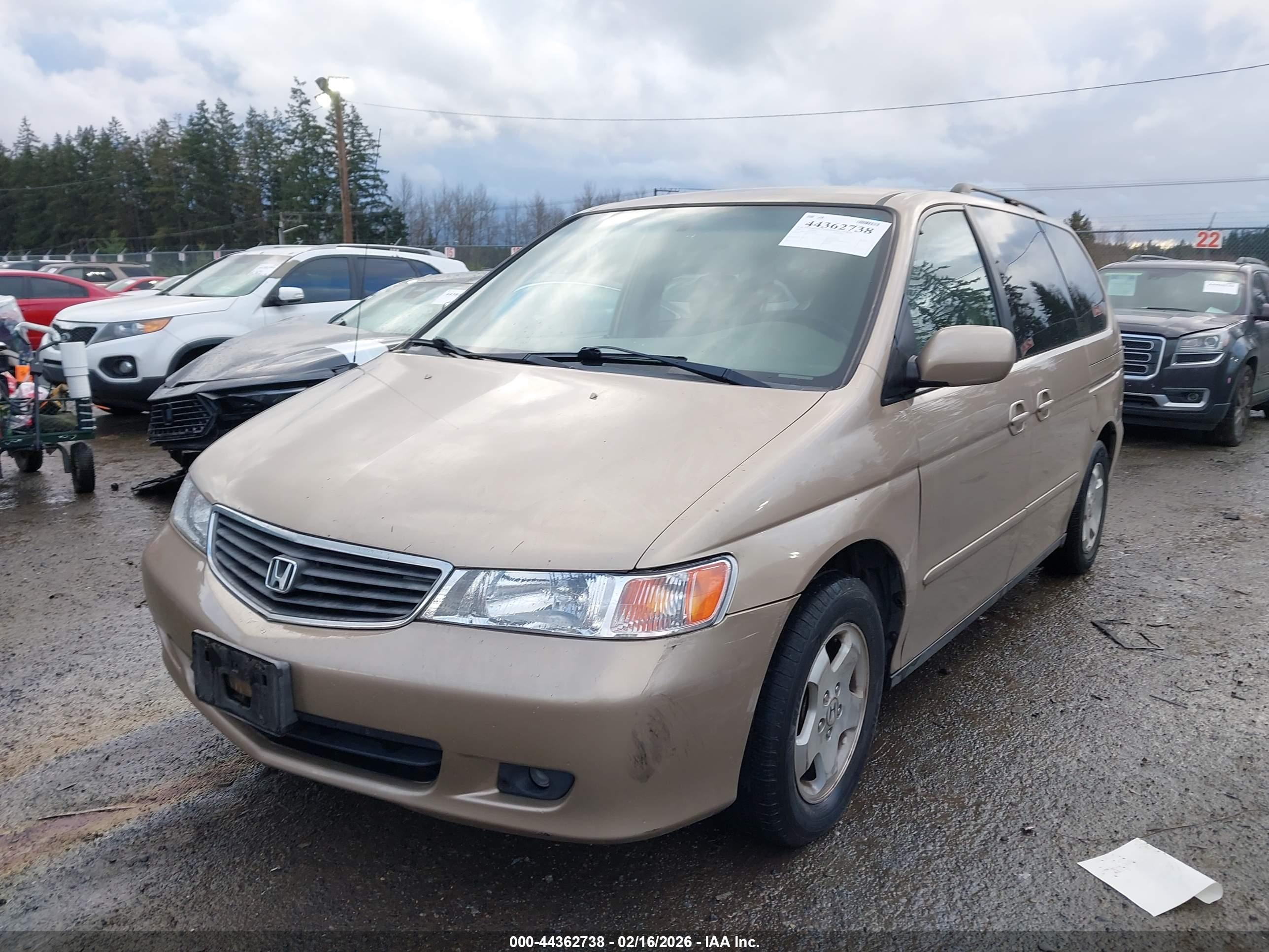 HONDA ODYSSEY image 6