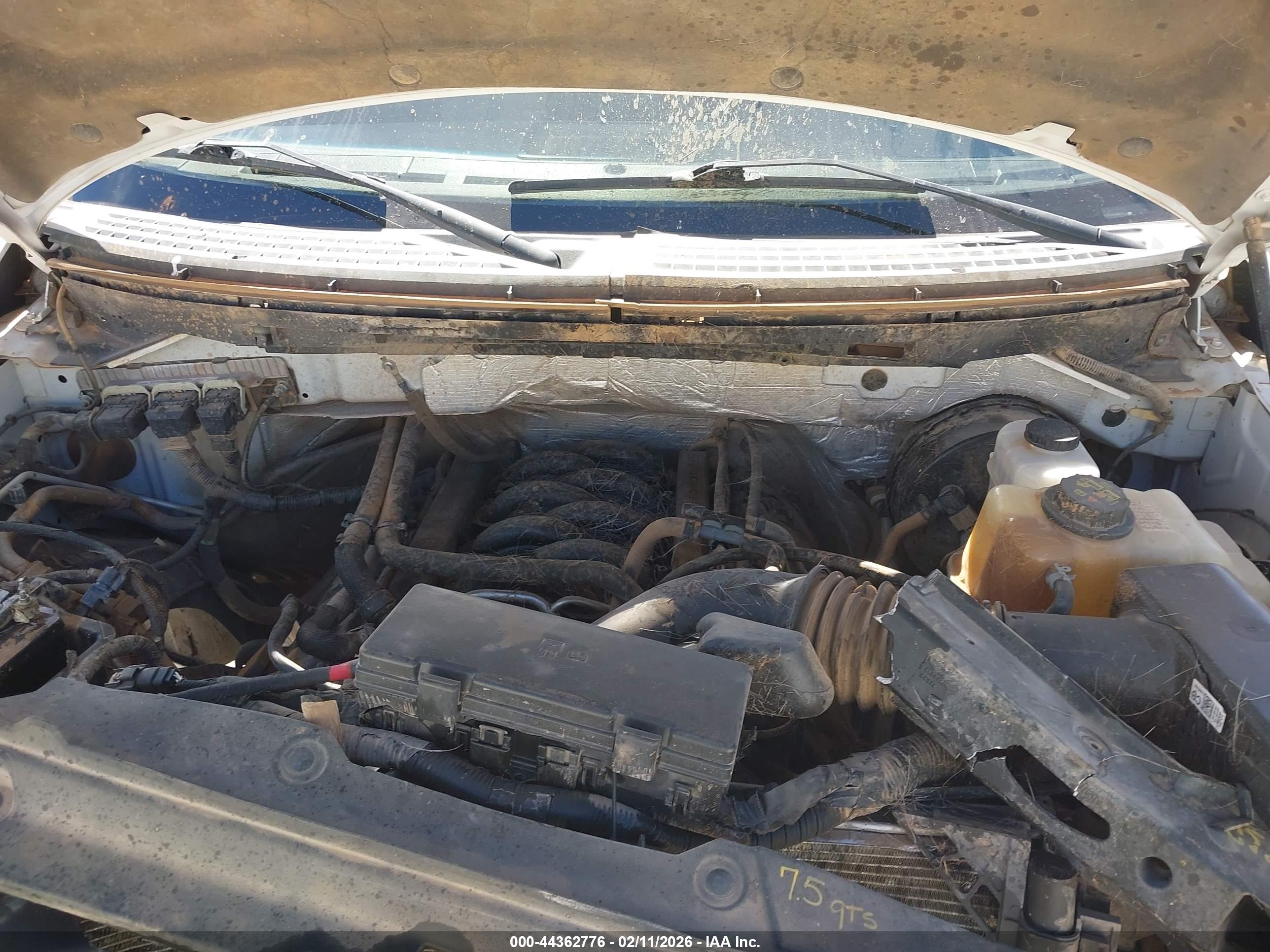 FORD F-150 image 10