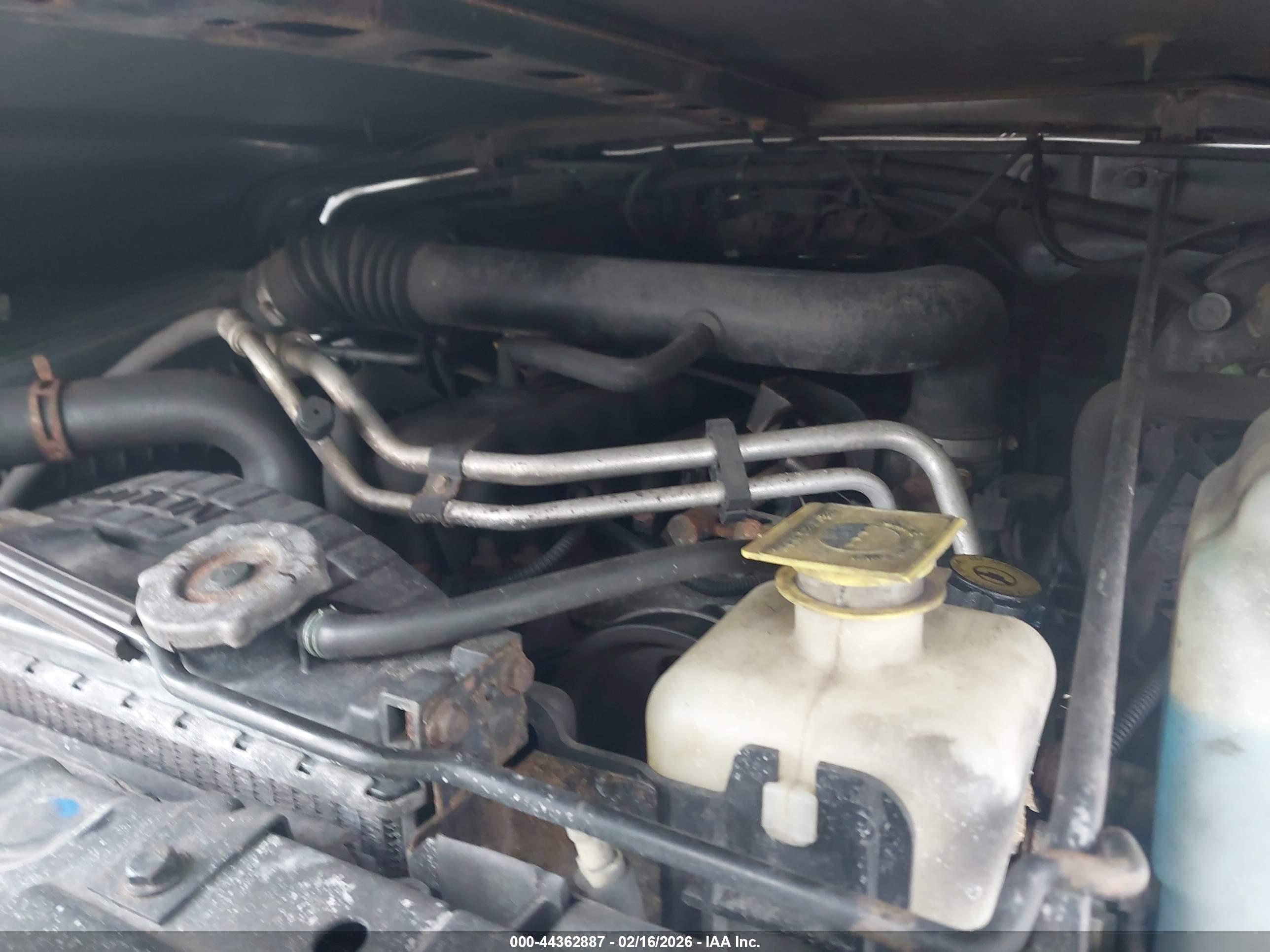 JEEP WRANGLER image 10