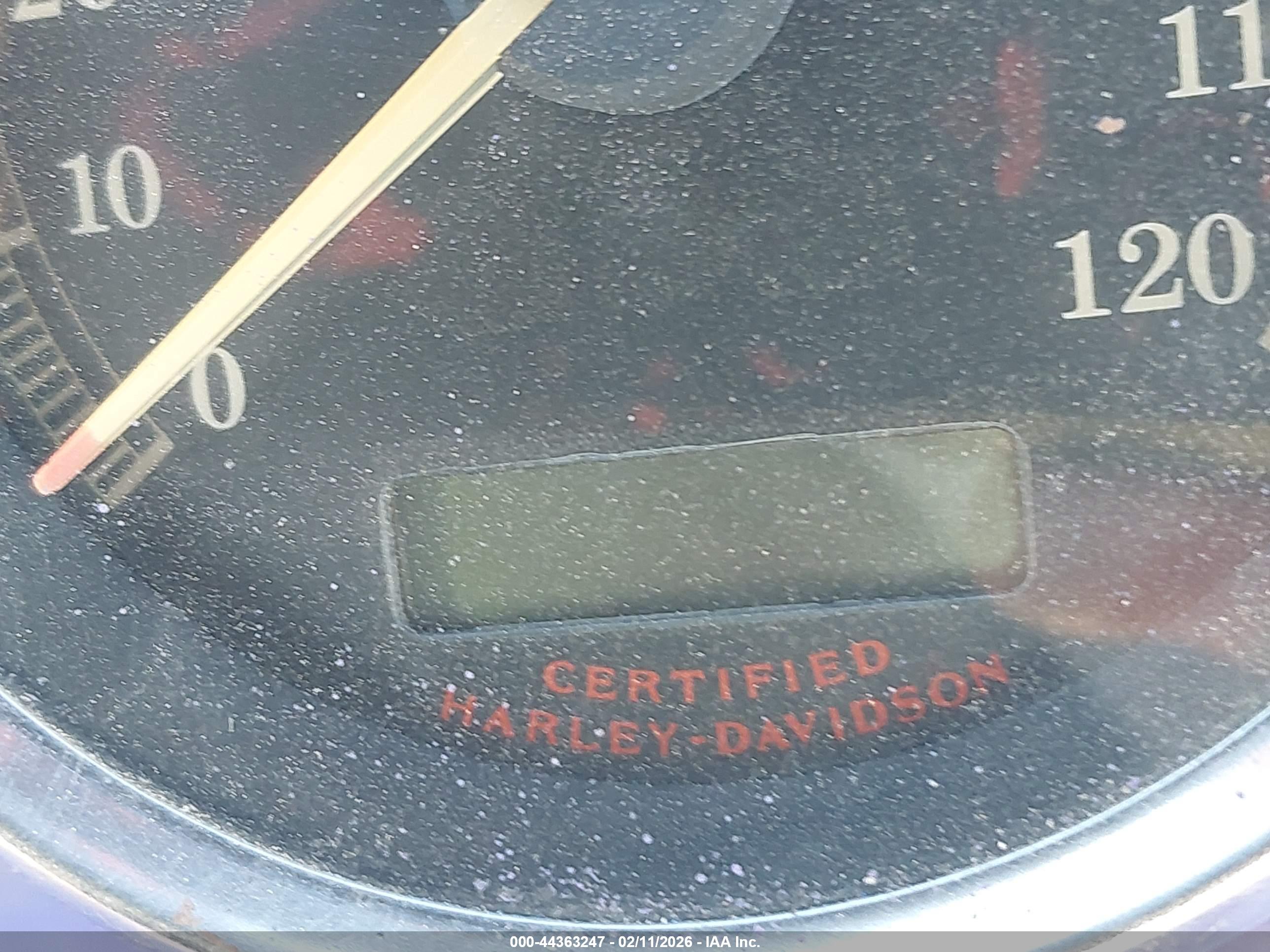 HARLEY-DAVIDSON XL1200 image 7