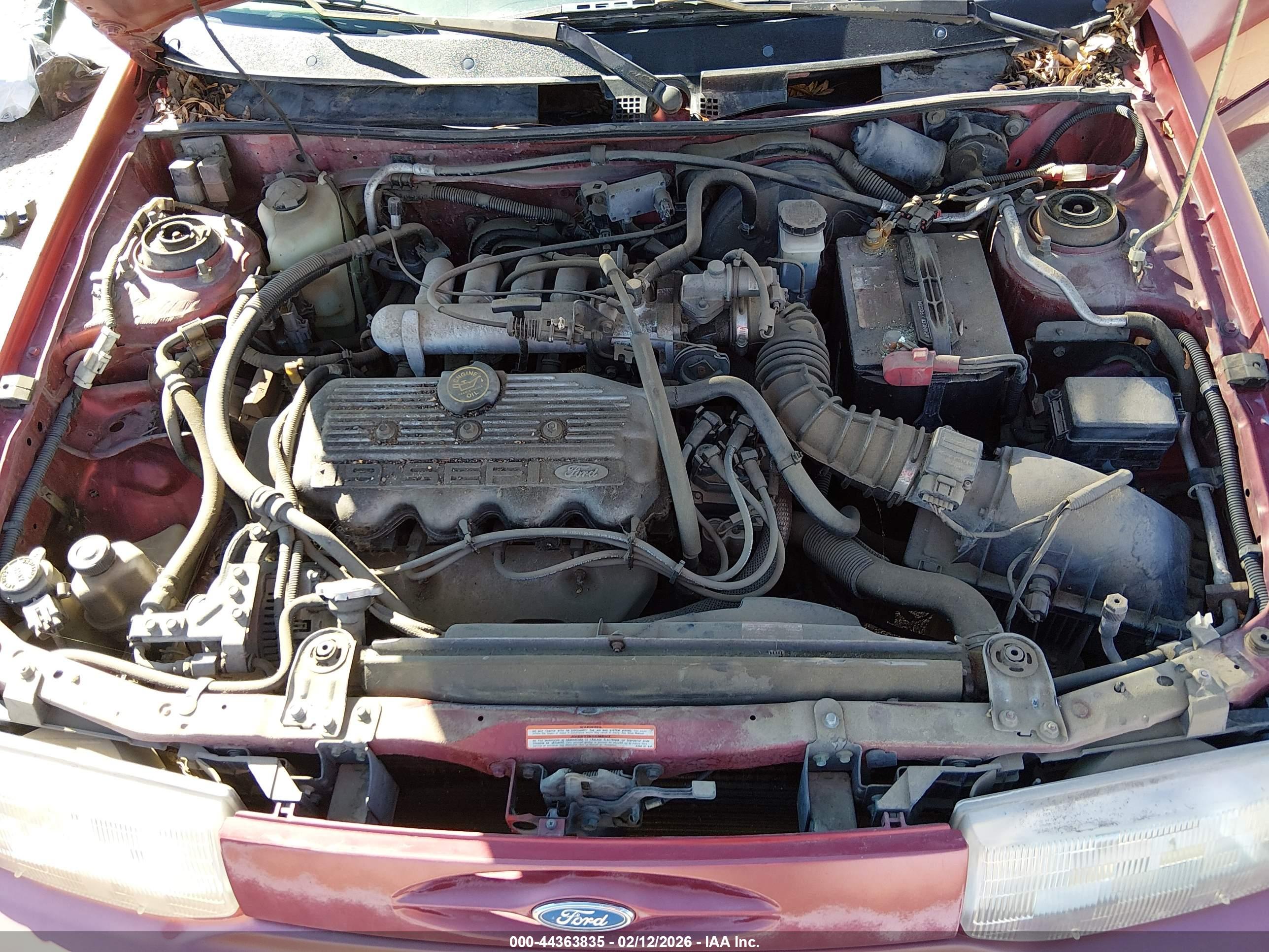 FORD ESCORT image 10