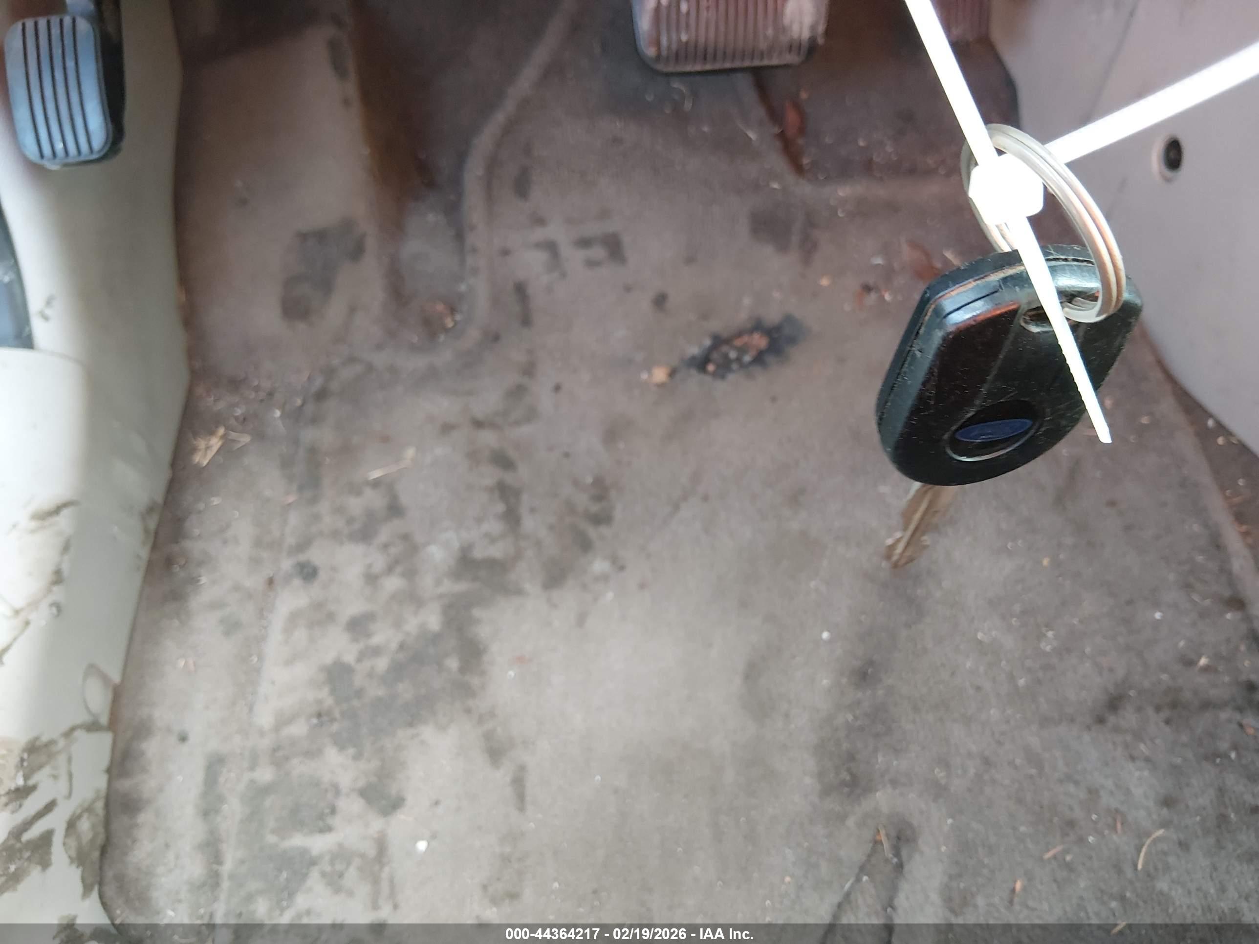 FORD ESCAPE image 11