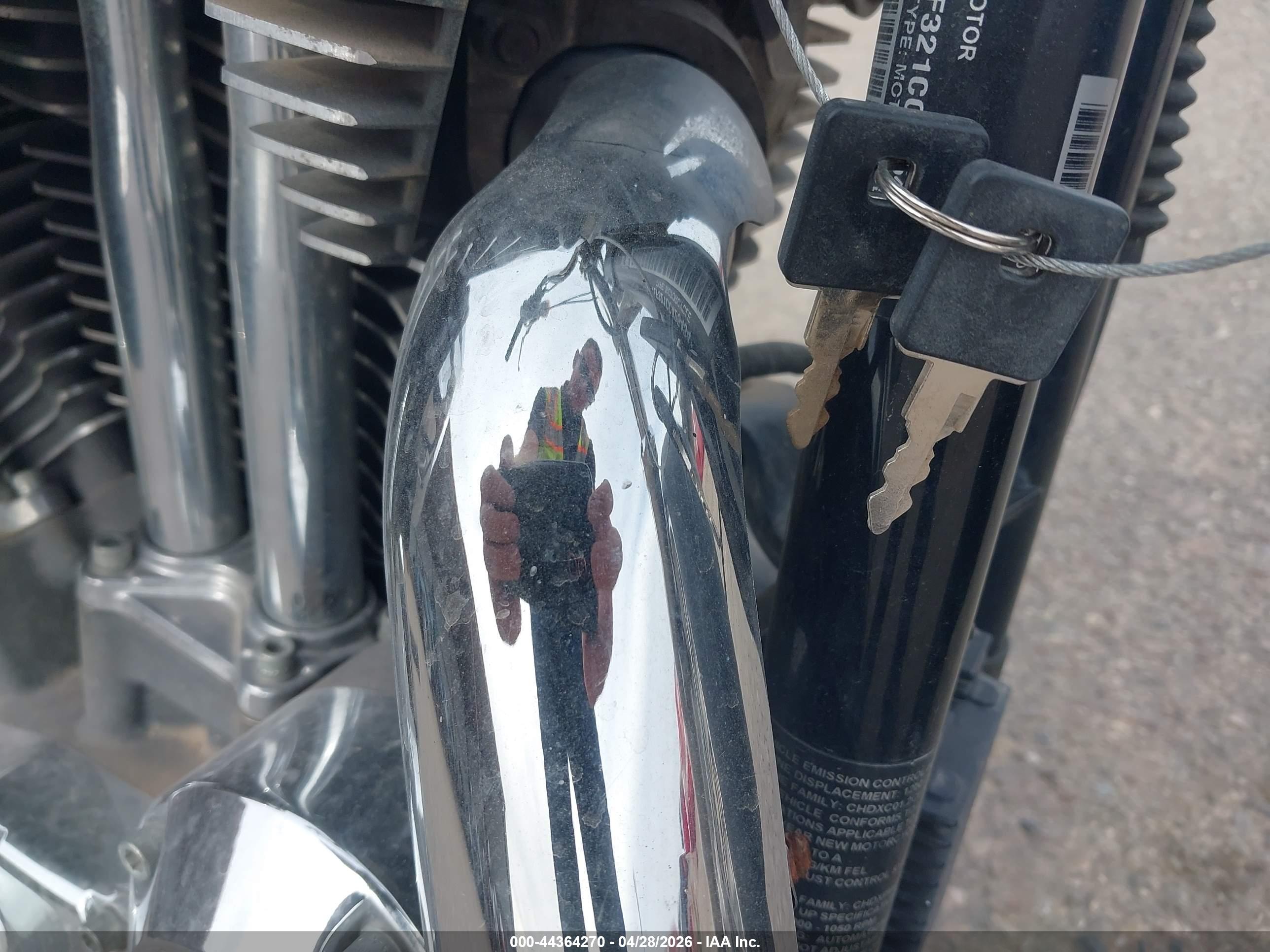 HARLEY-DAVIDSON XL1200 image 11