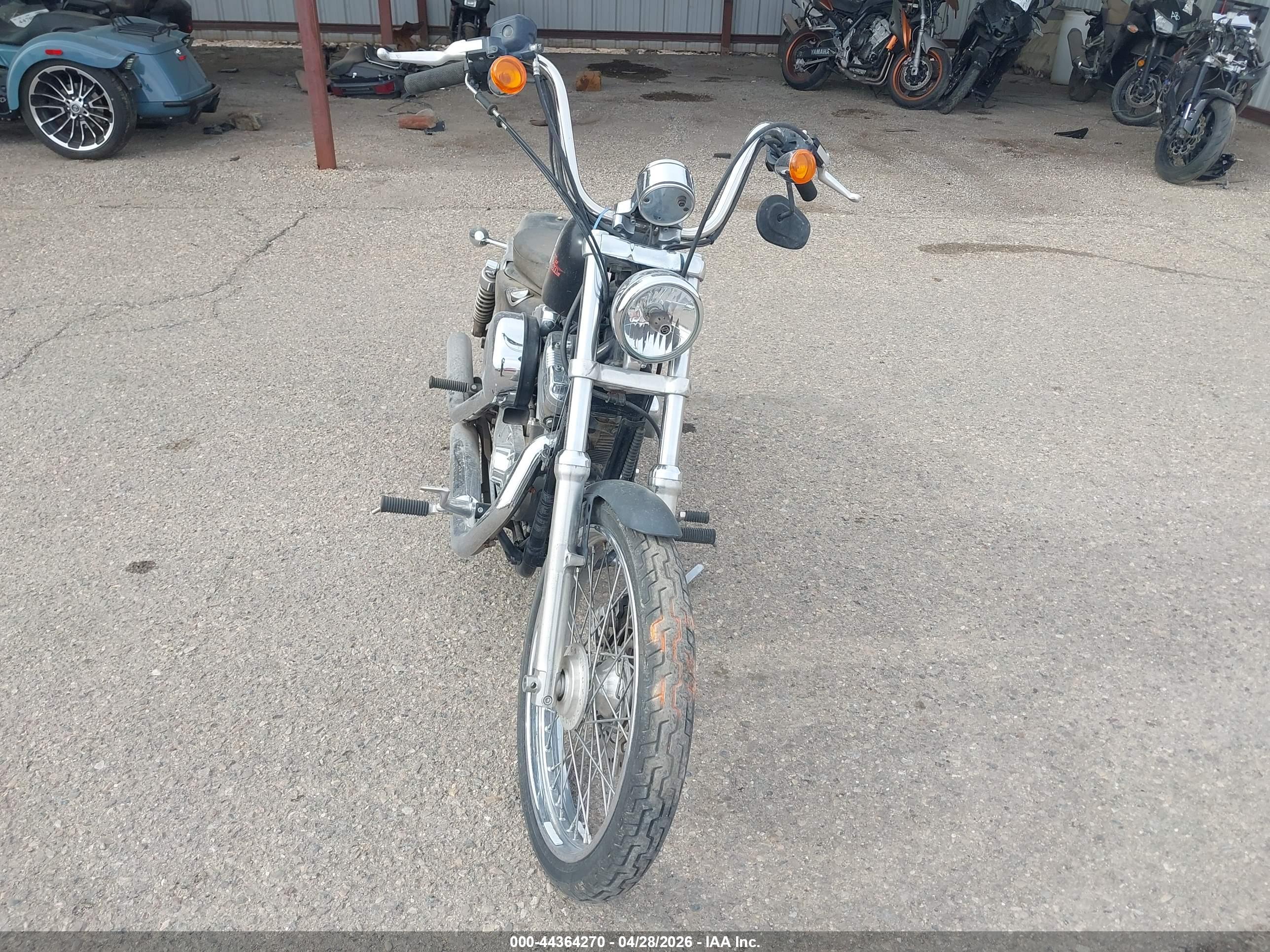 HARLEY-DAVIDSON XL1200 image 5