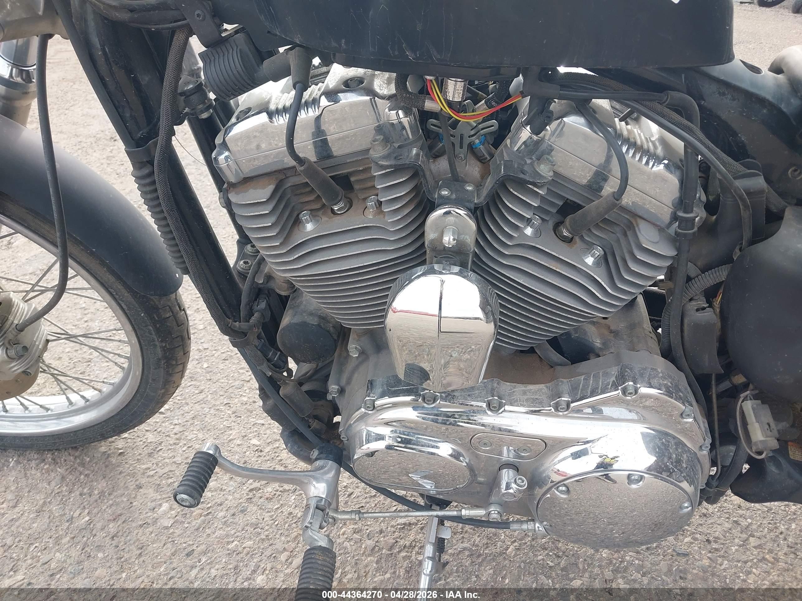 HARLEY-DAVIDSON XL1200 image 9