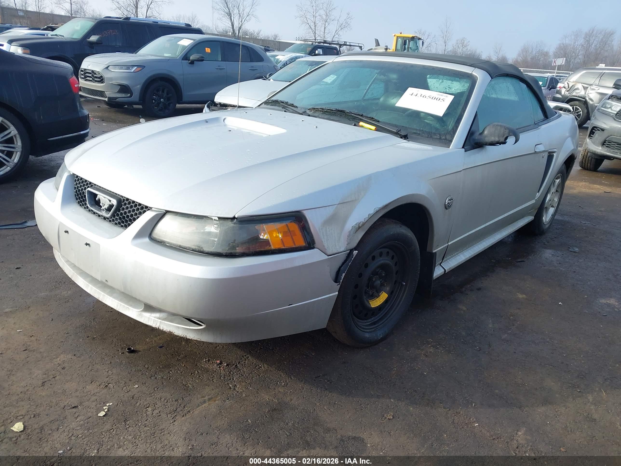 FORD MUSTANG image 2