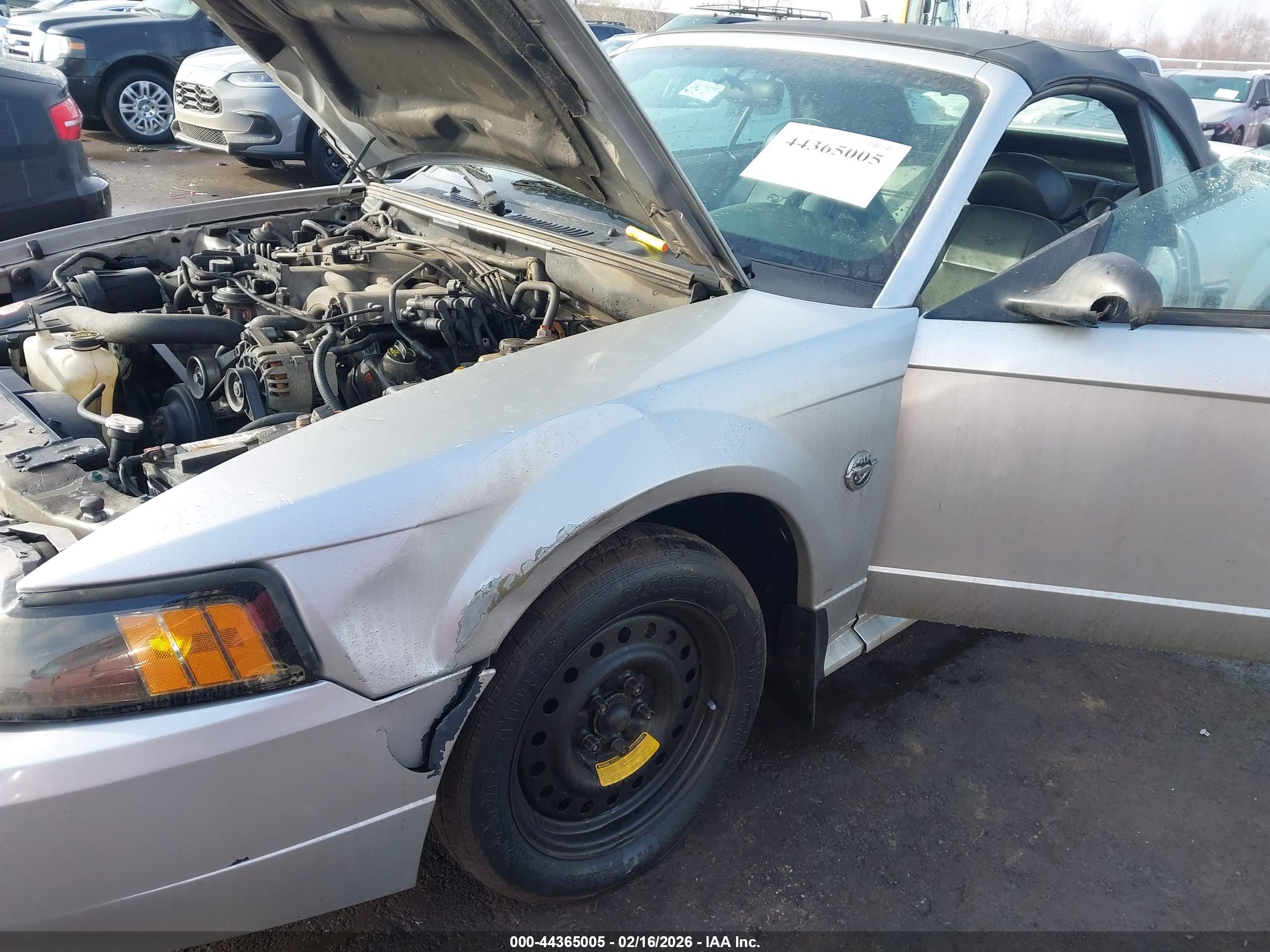 FORD MUSTANG image 6