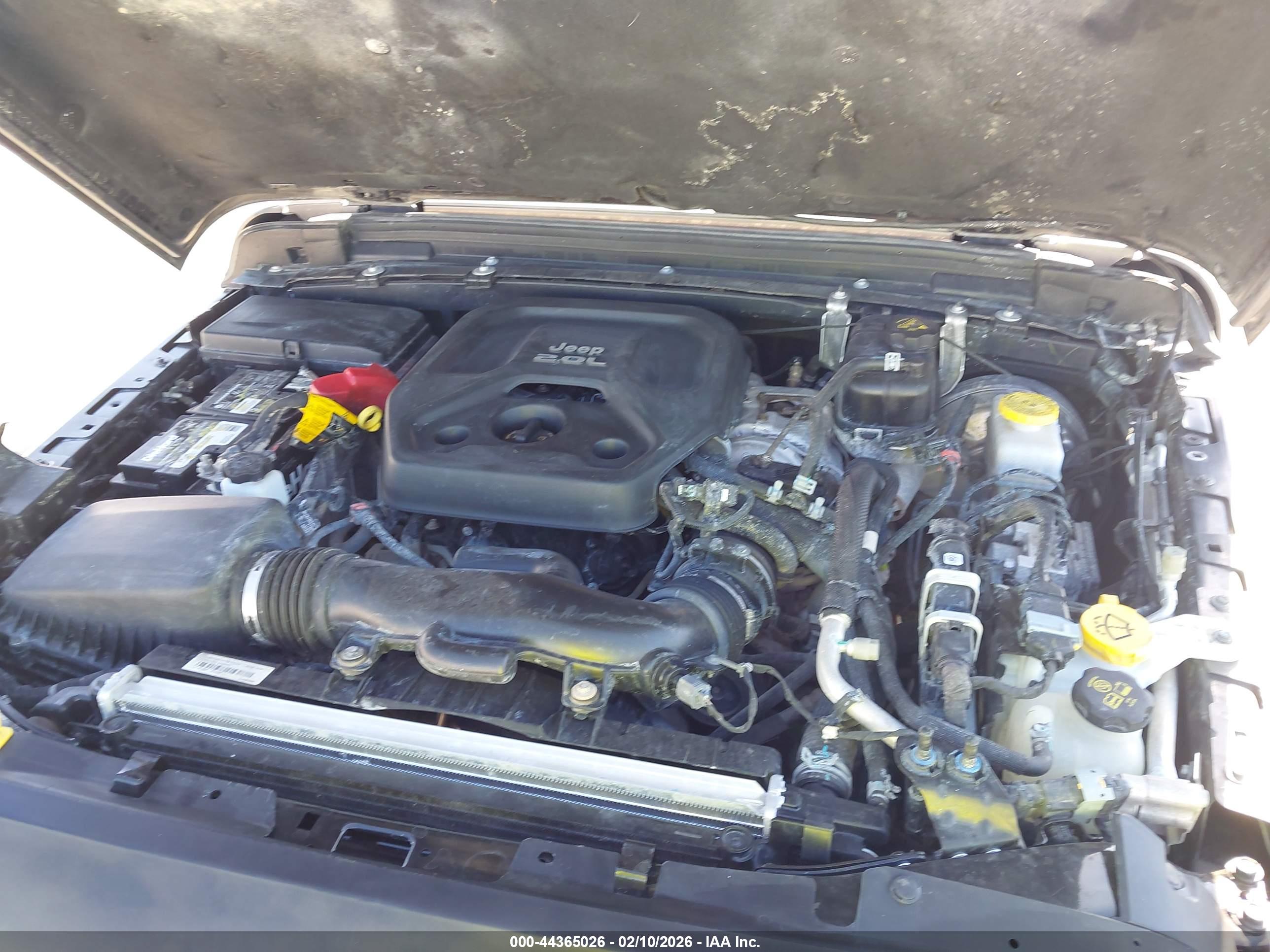 JEEP WRANGLER image 10