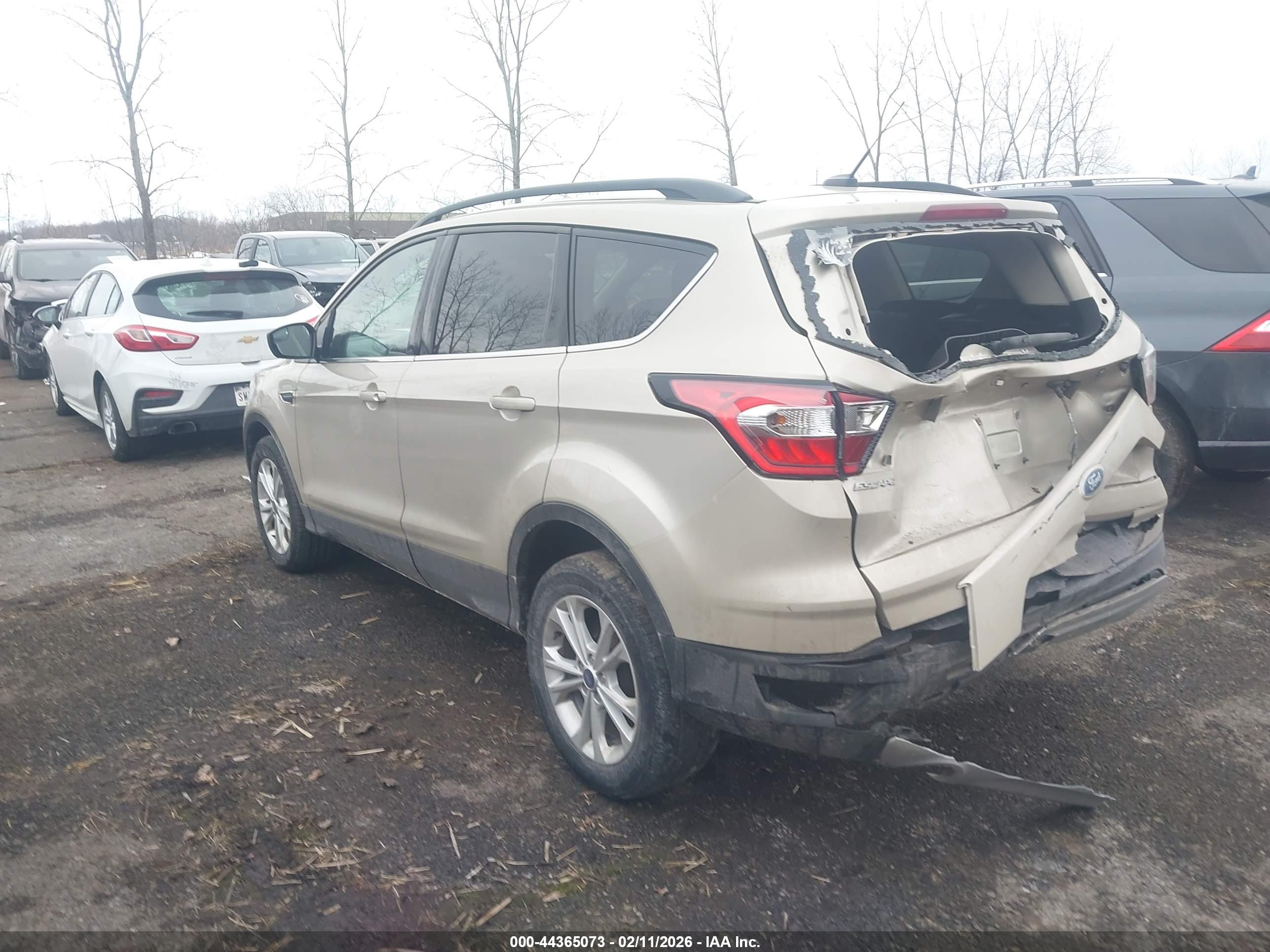 FORD ESCAPE image 3