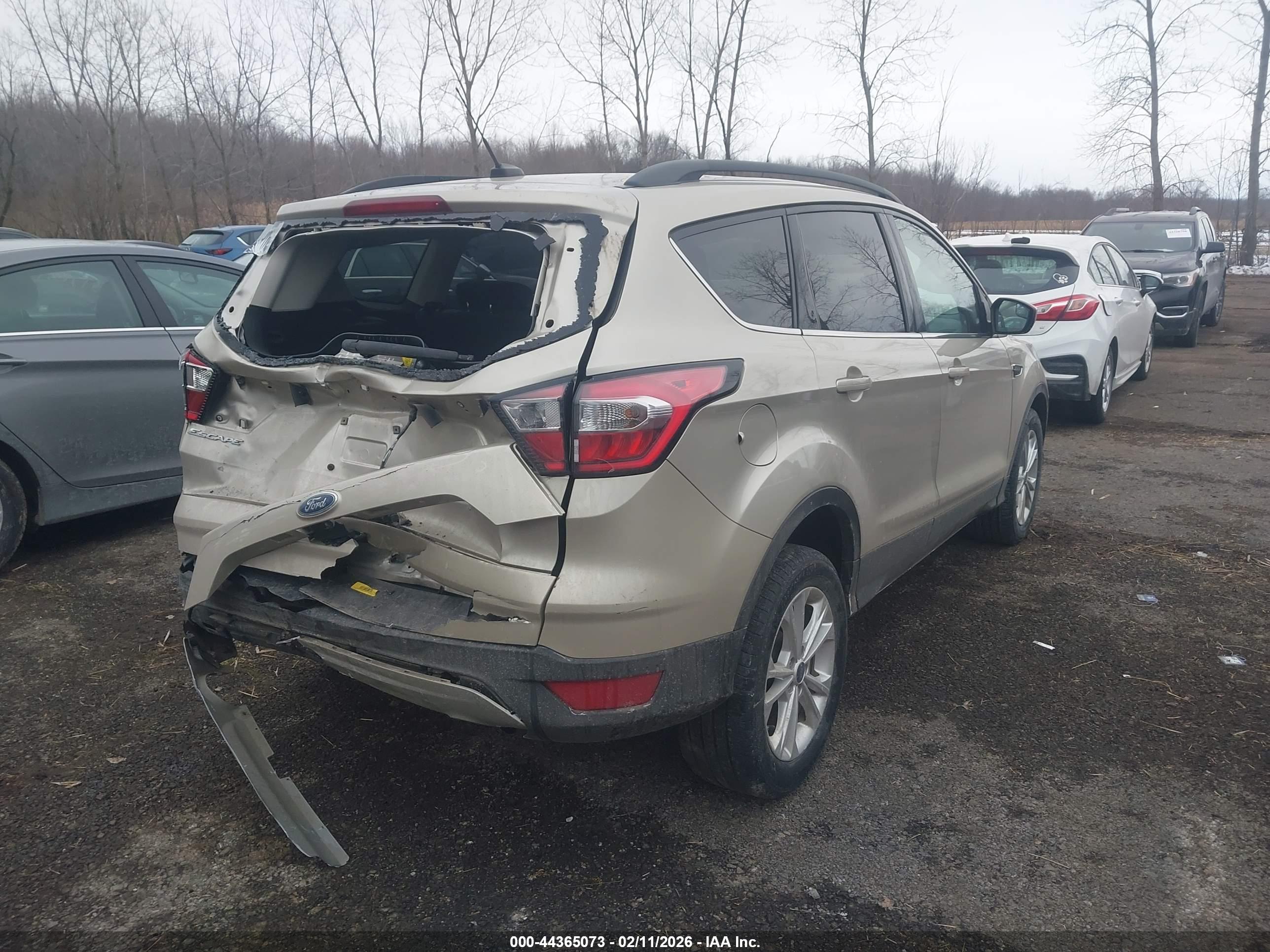 FORD ESCAPE image 4