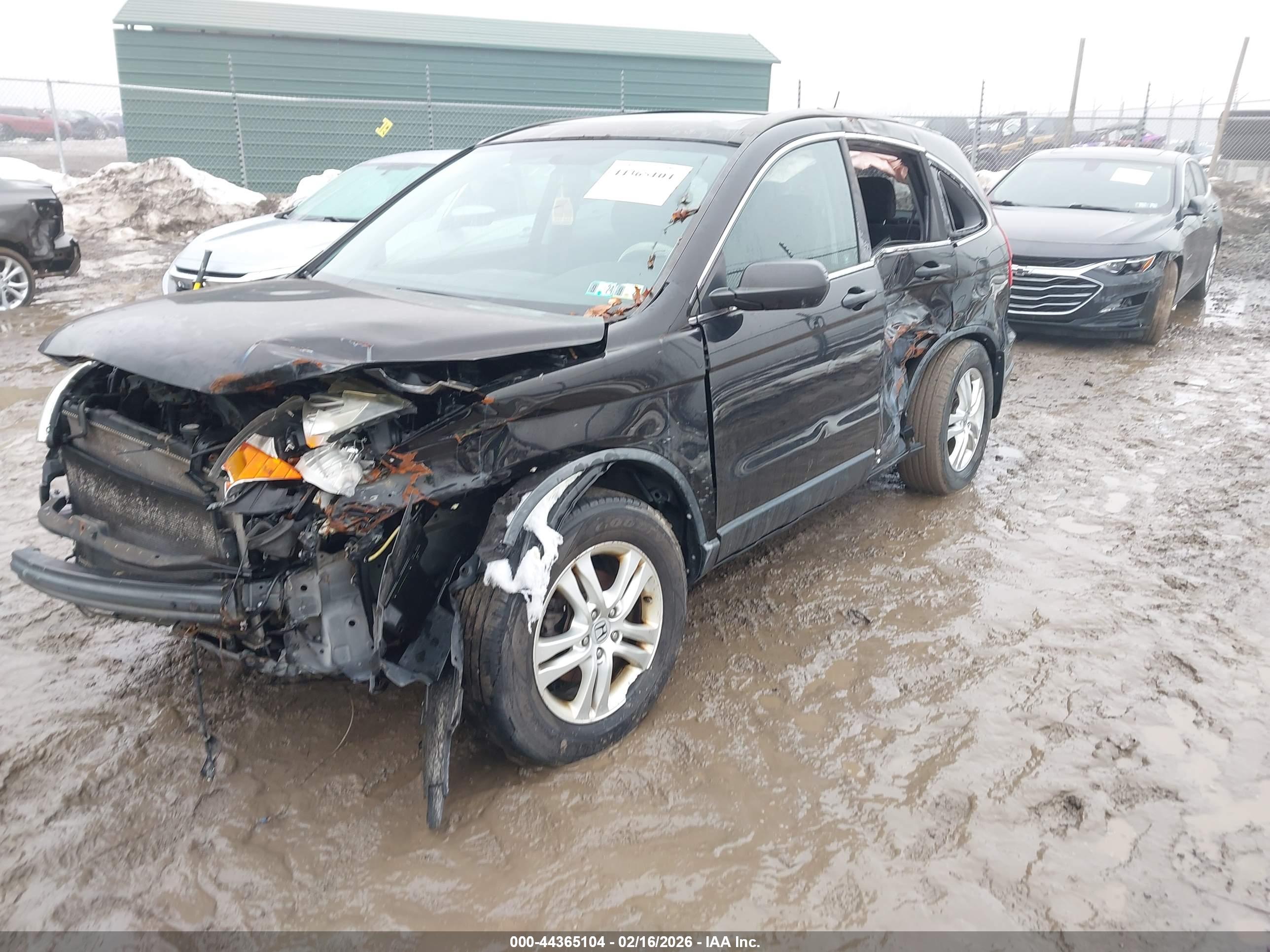 HONDA CR-V image 2