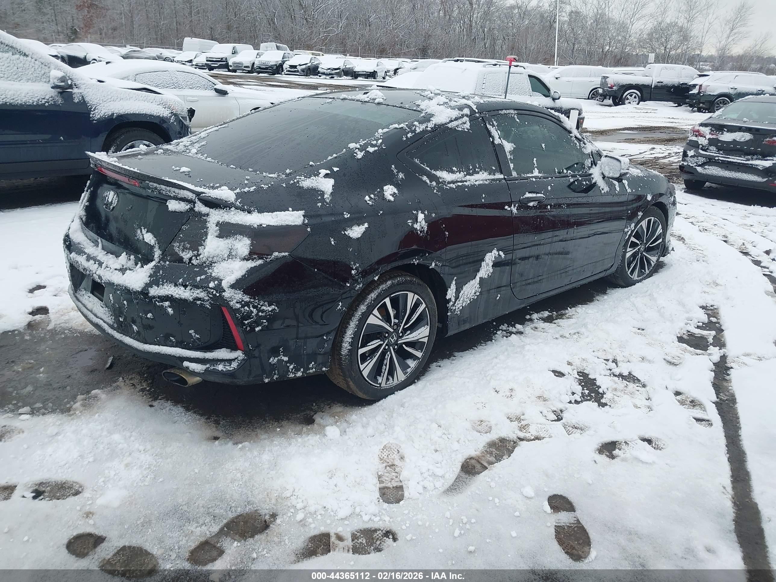 HONDA ACCORD image 4