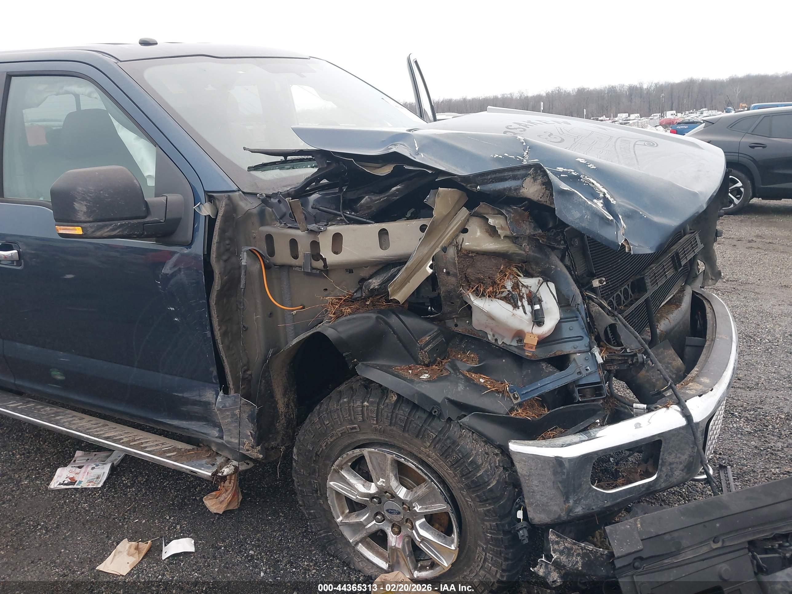 FORD F-150 image 6