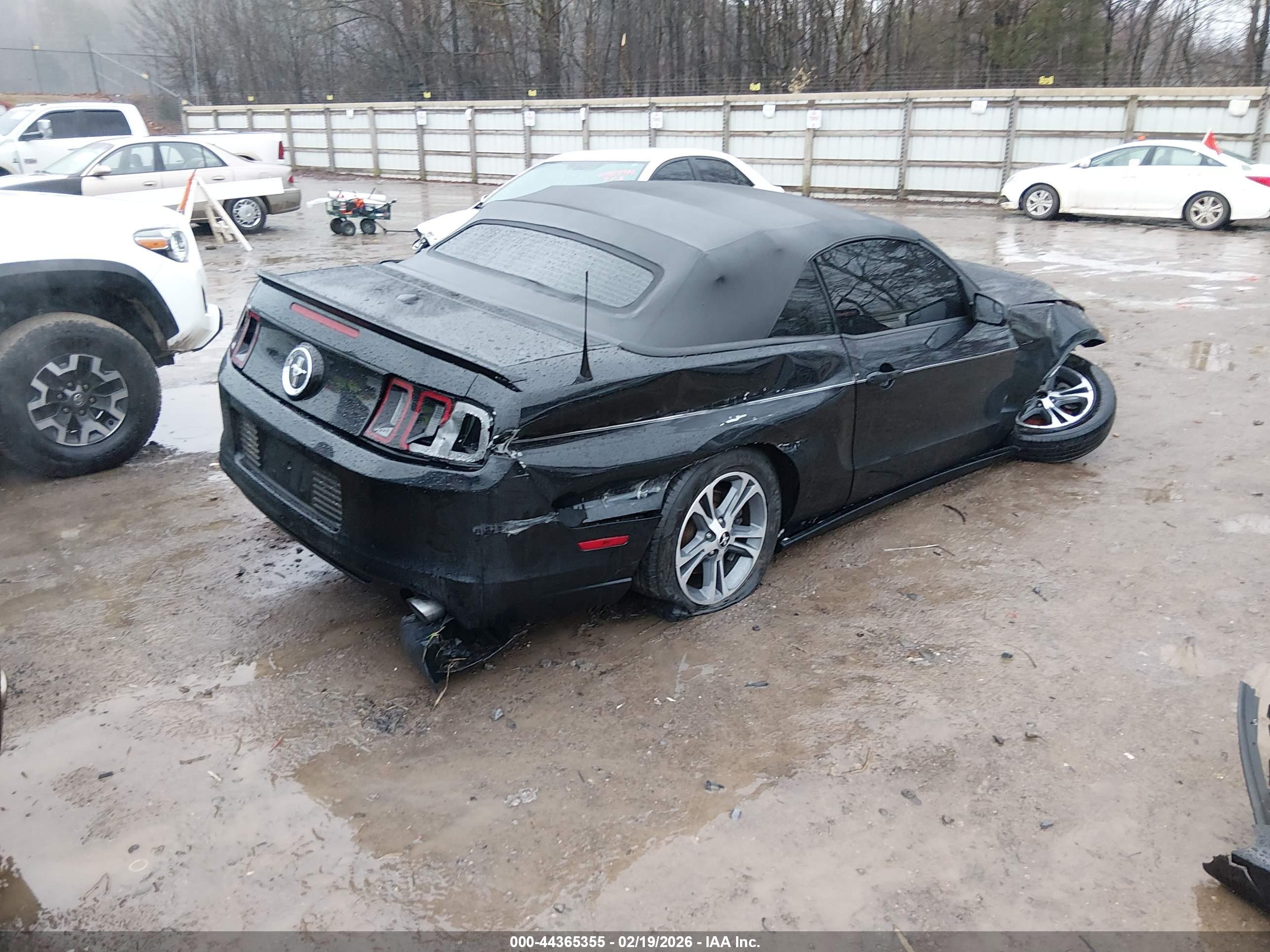 FORD MUSTANG image 4