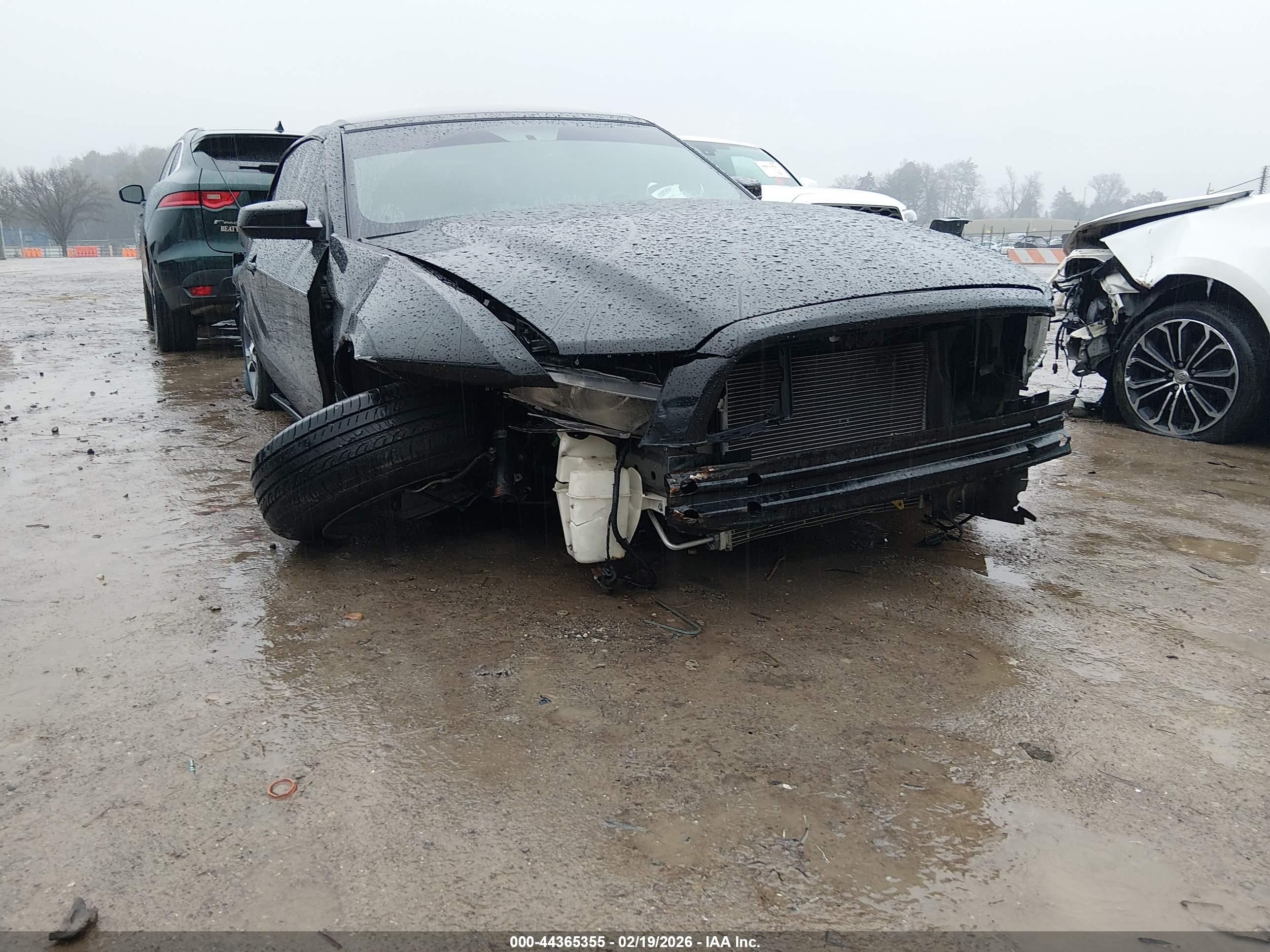 FORD MUSTANG image 6