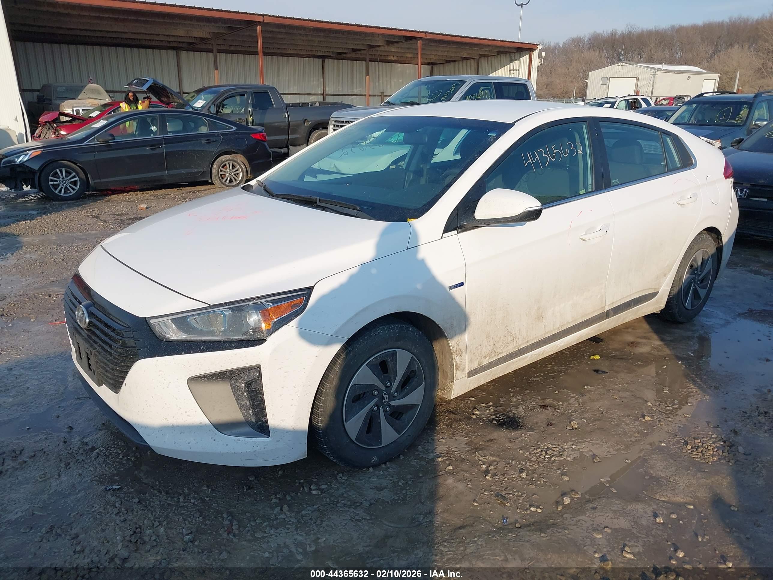 HYUNDAI IONIQ image 2