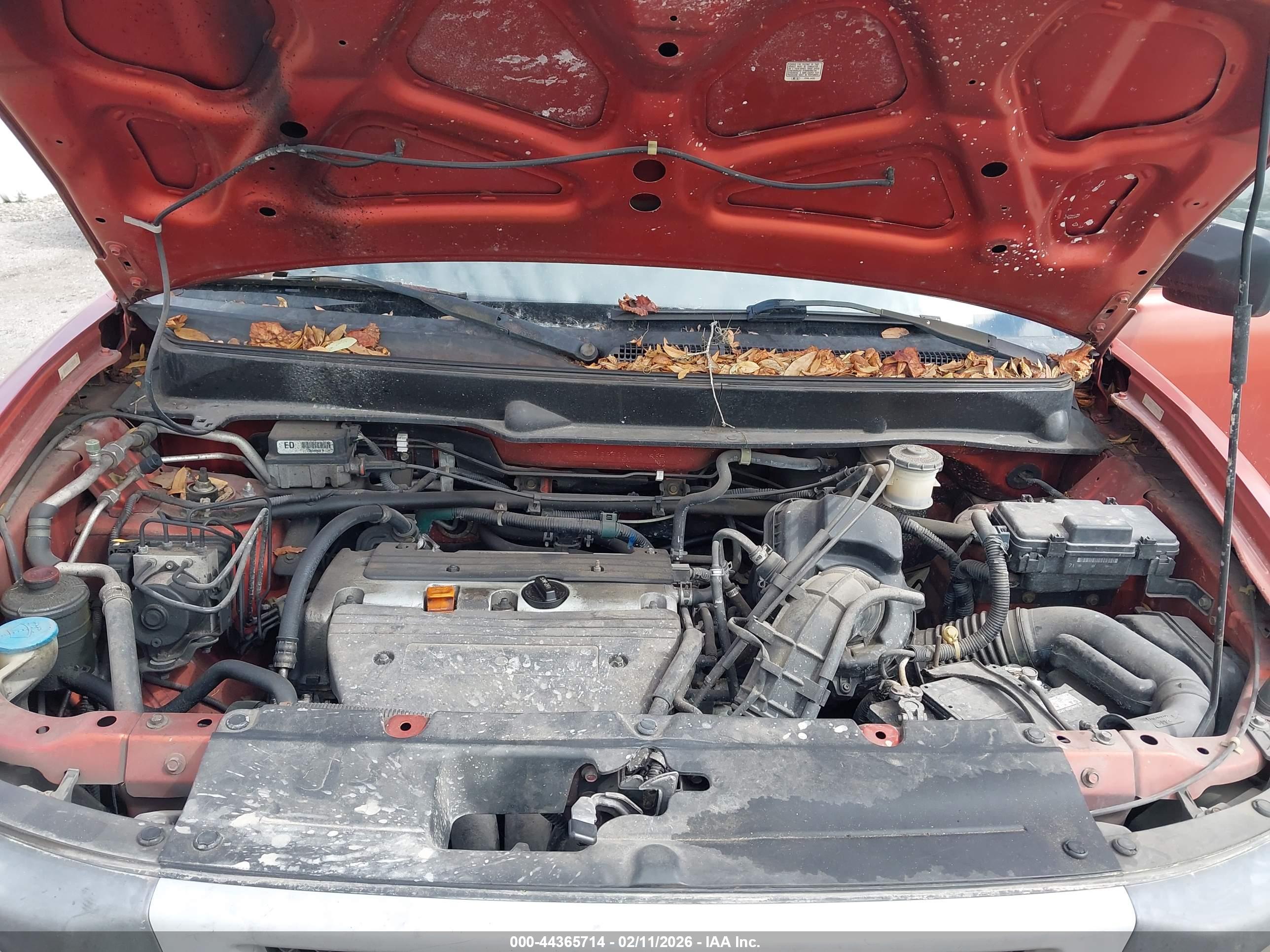 HONDA ELEMENT image 10