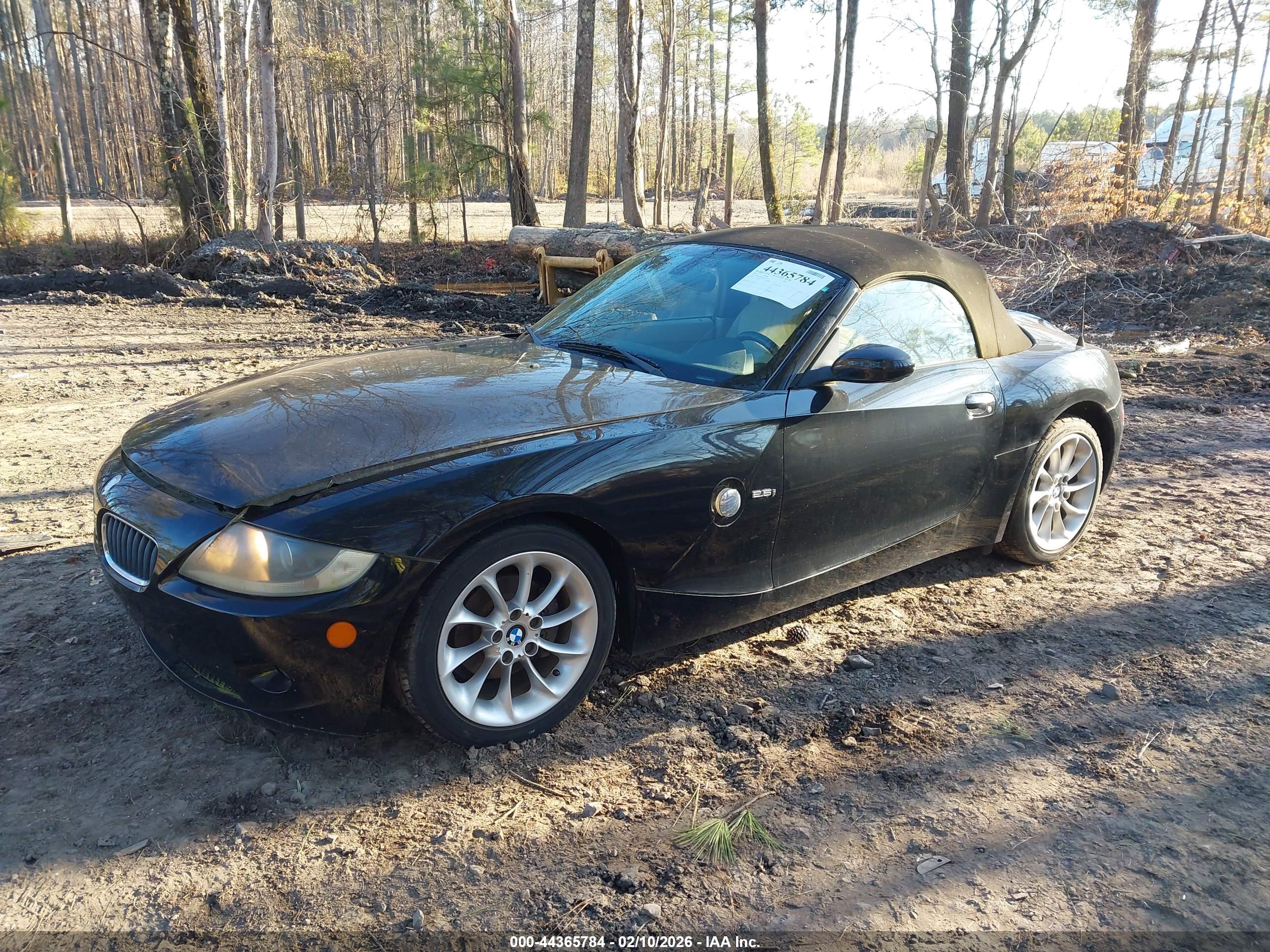 BMW Z4 image 2