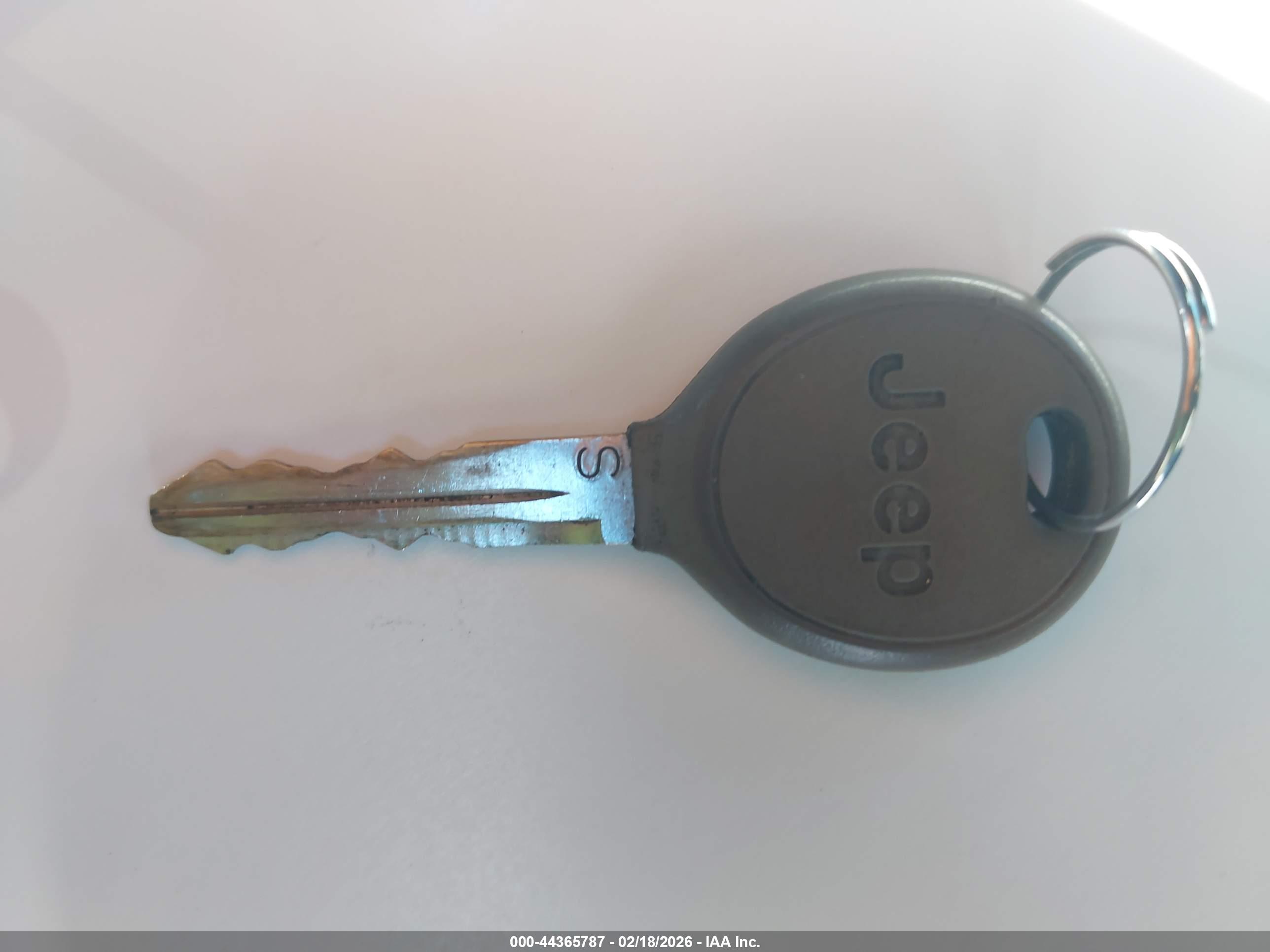 JEEP WRANGLER image 11