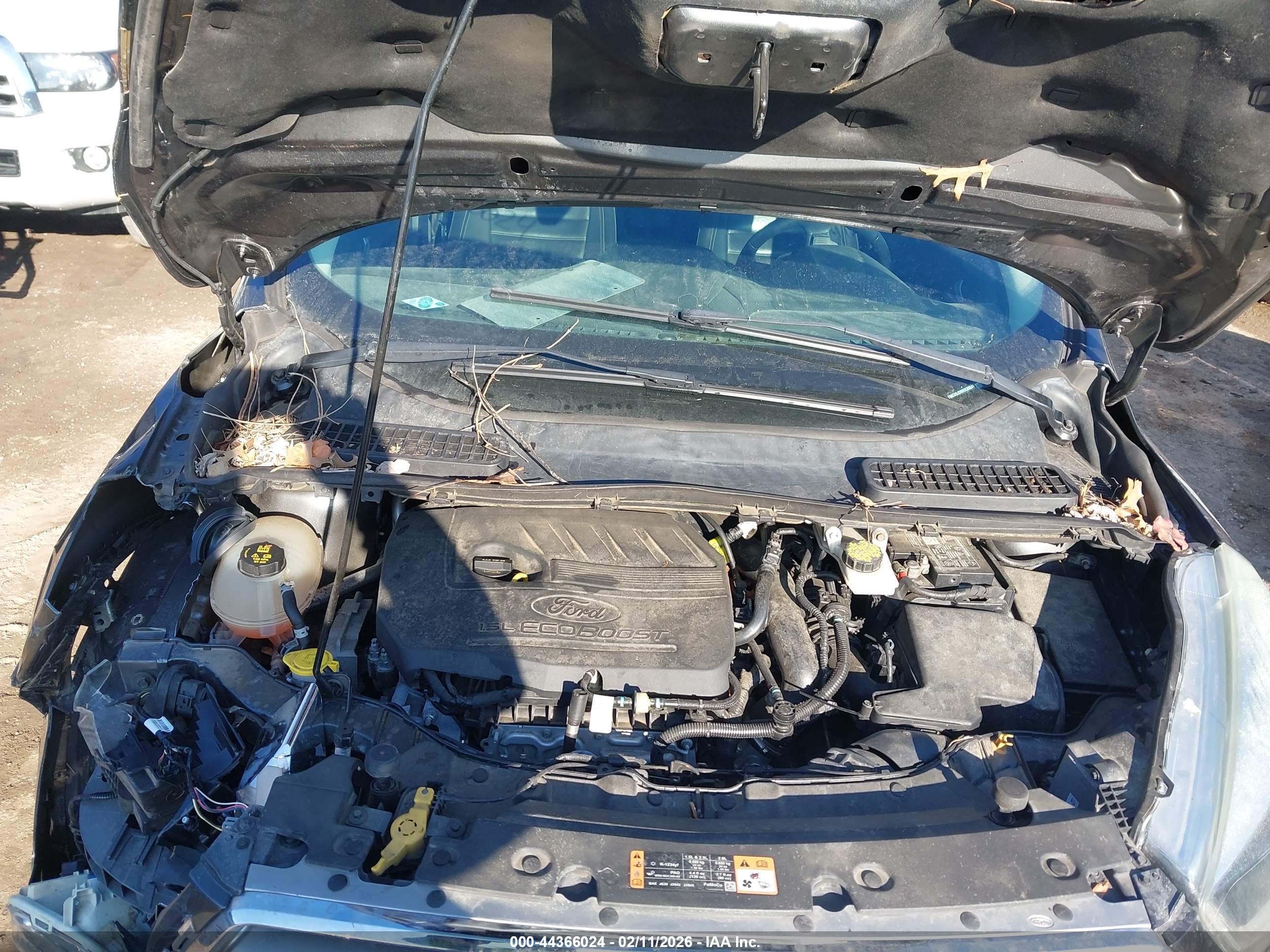 FORD ESCAPE image 10