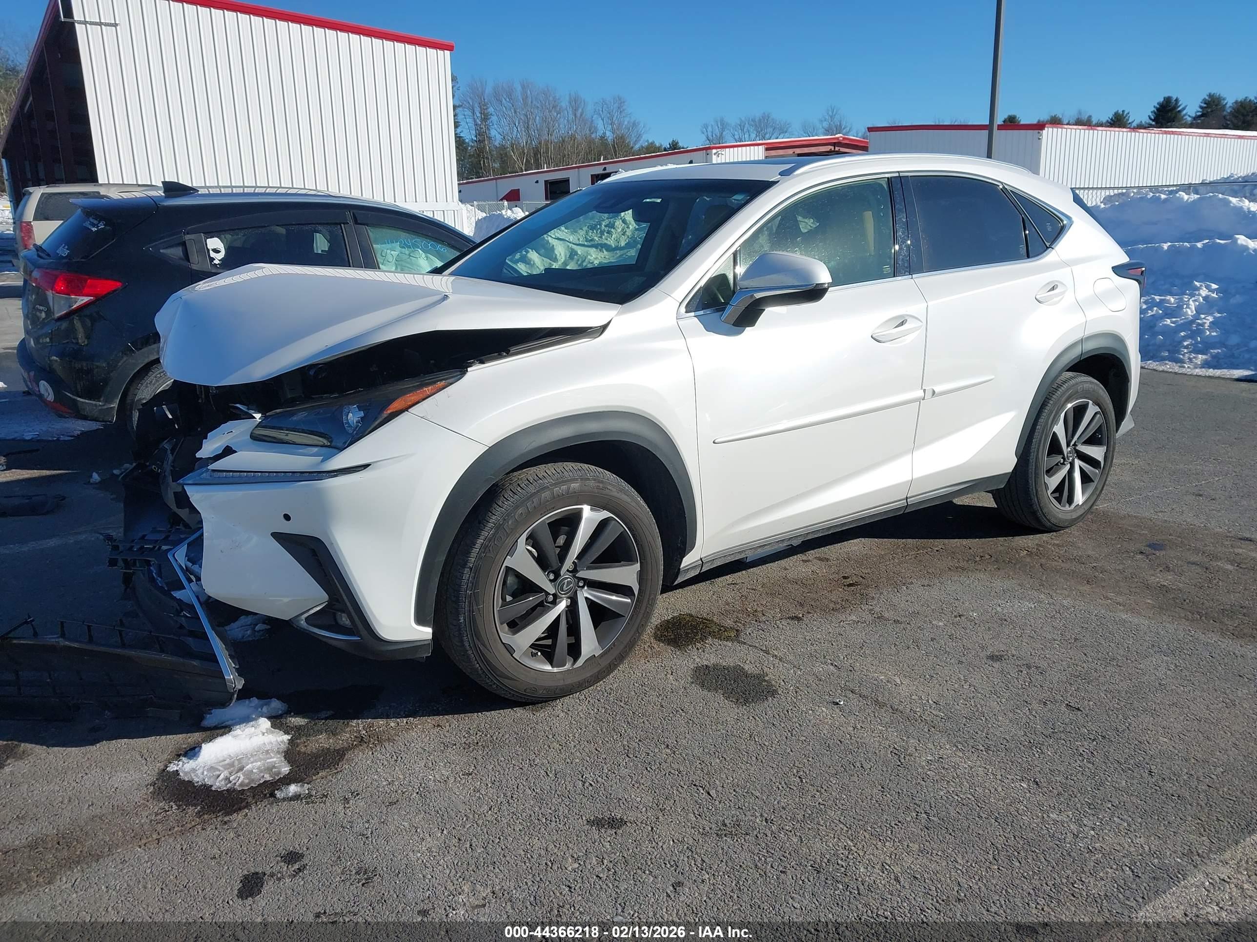 LEXUS NX image 2