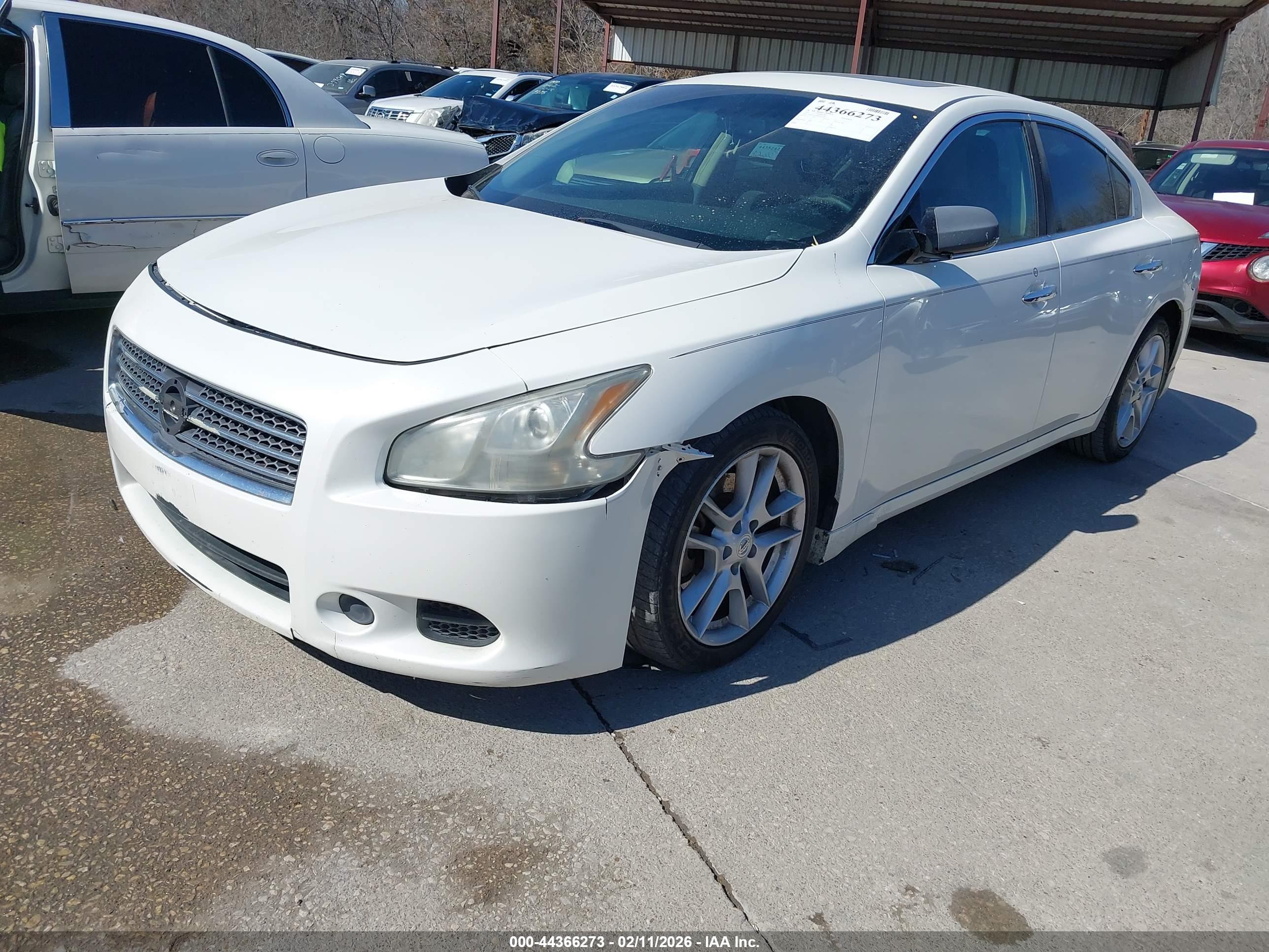 NISSAN MAXIMA image 2