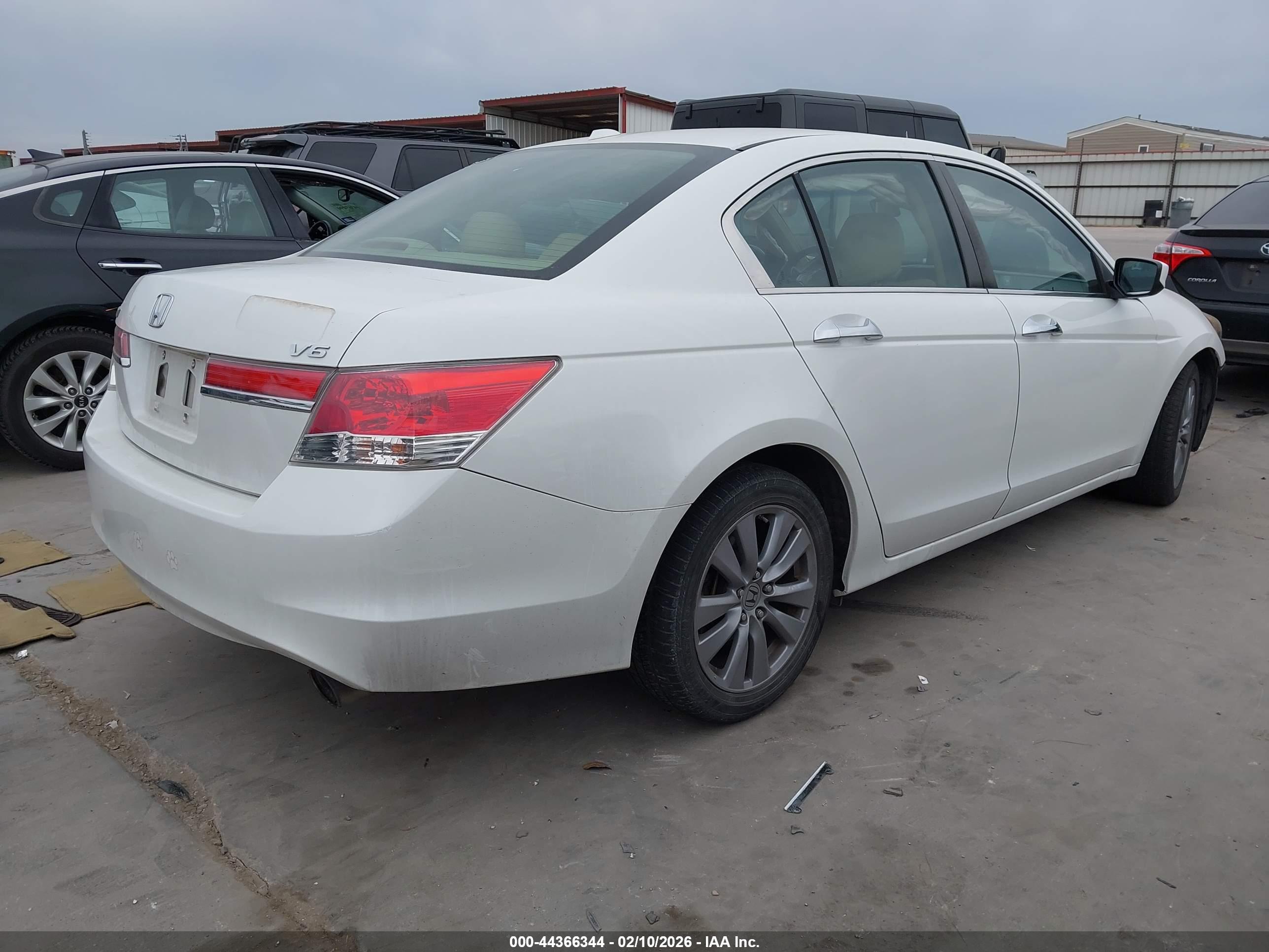 HONDA ACCORD image 4