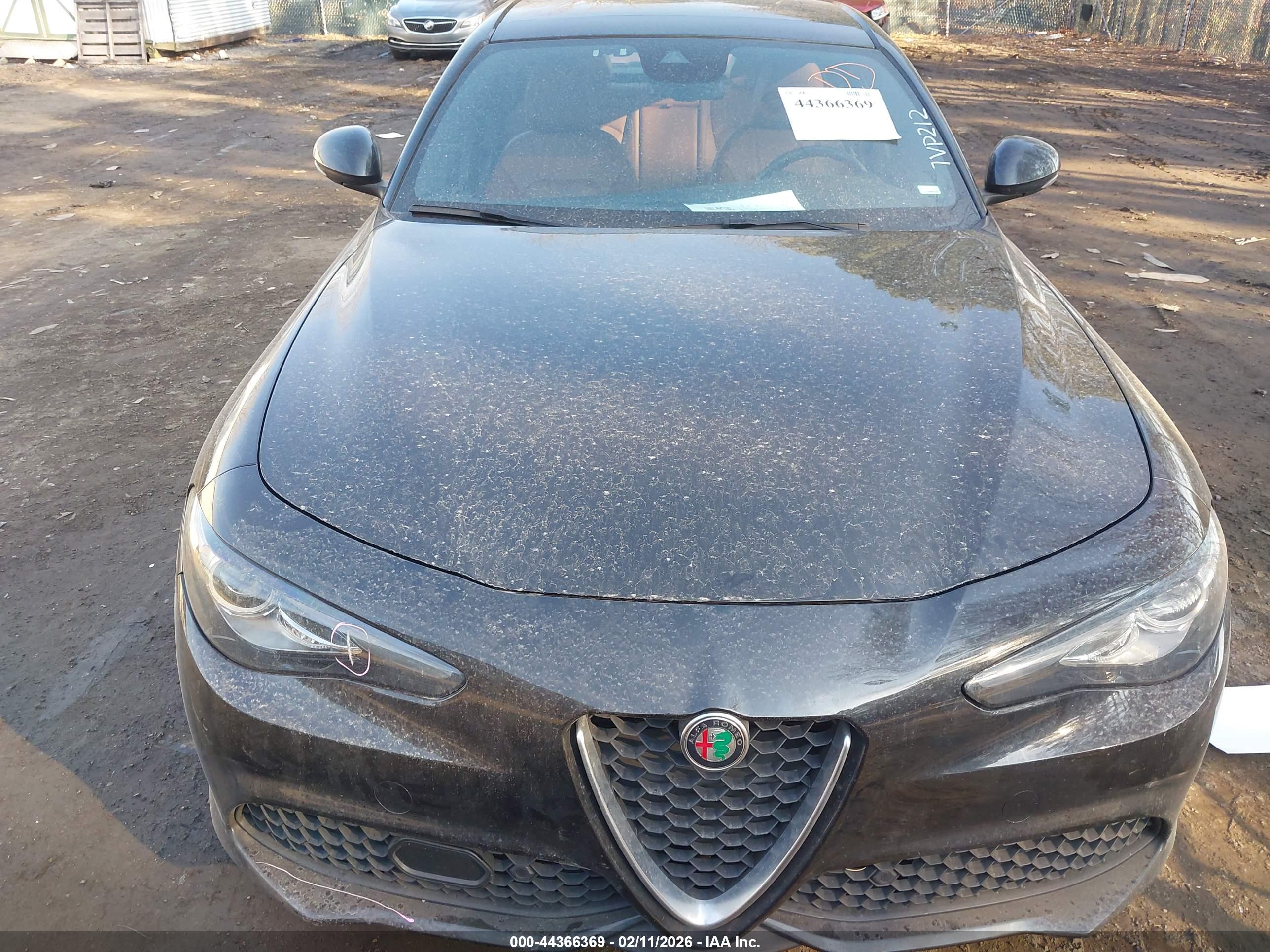 ALFA ROMEO image 6