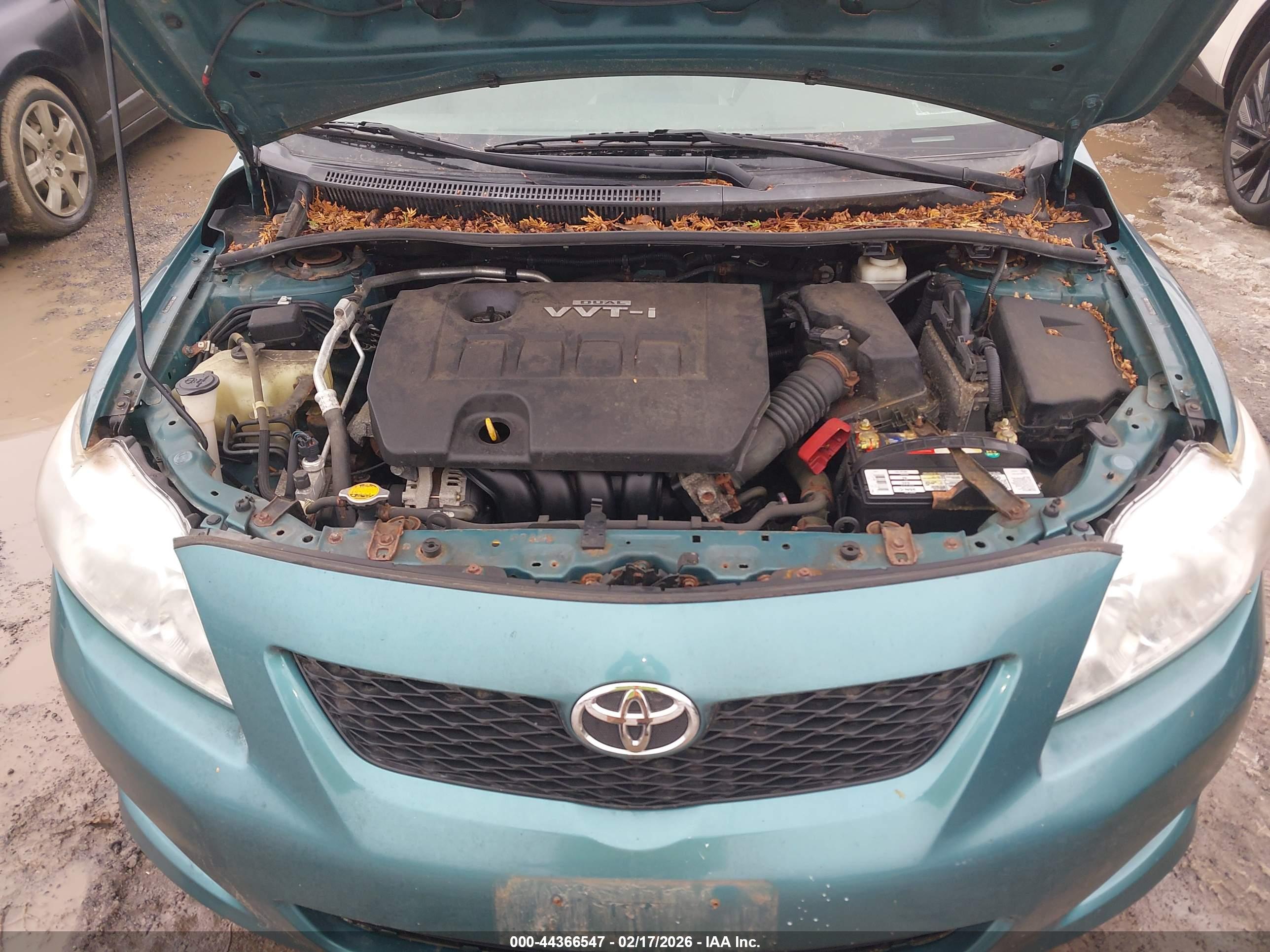 TOYOTA COROLLA image 10