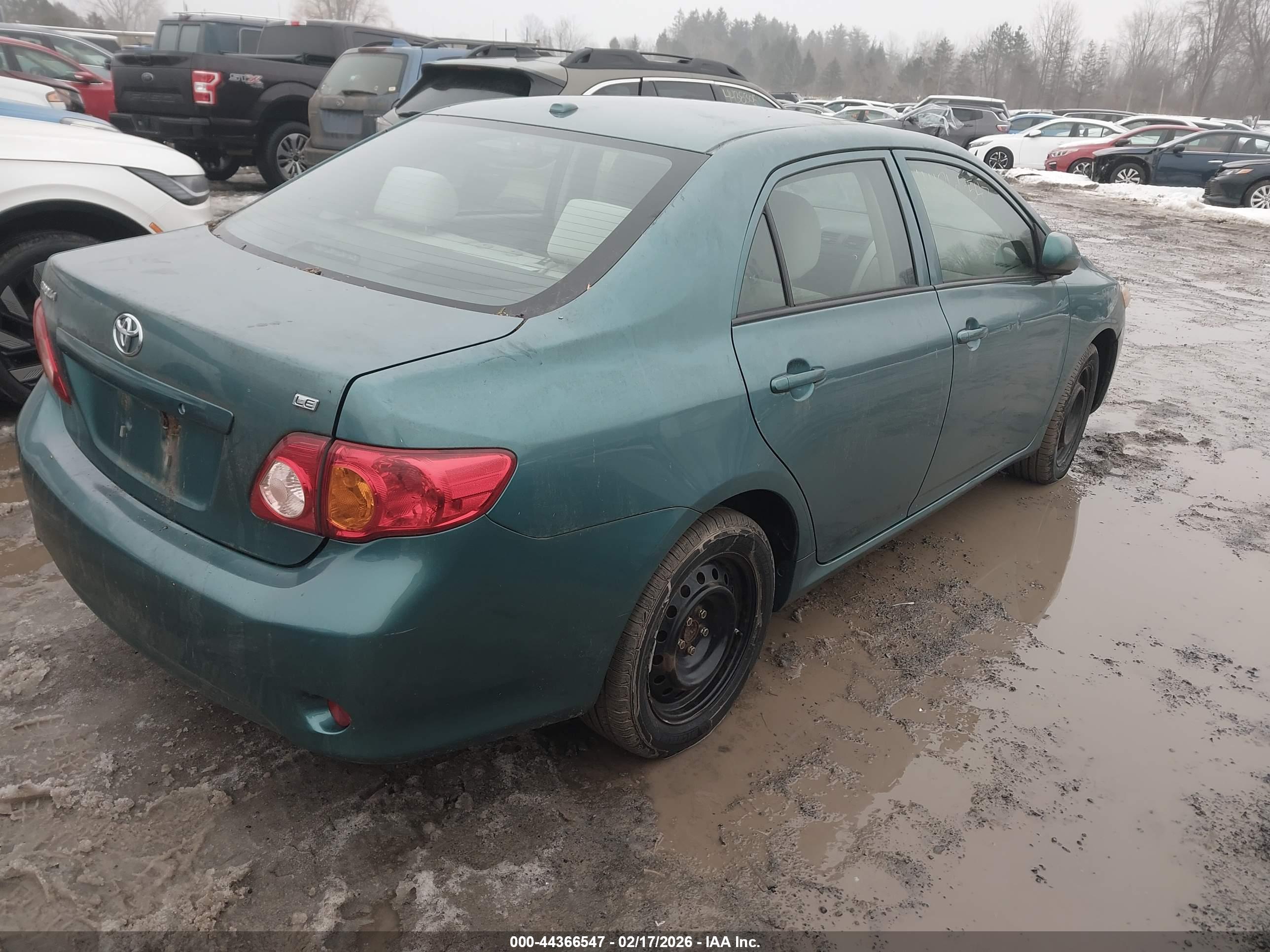 TOYOTA COROLLA image 4