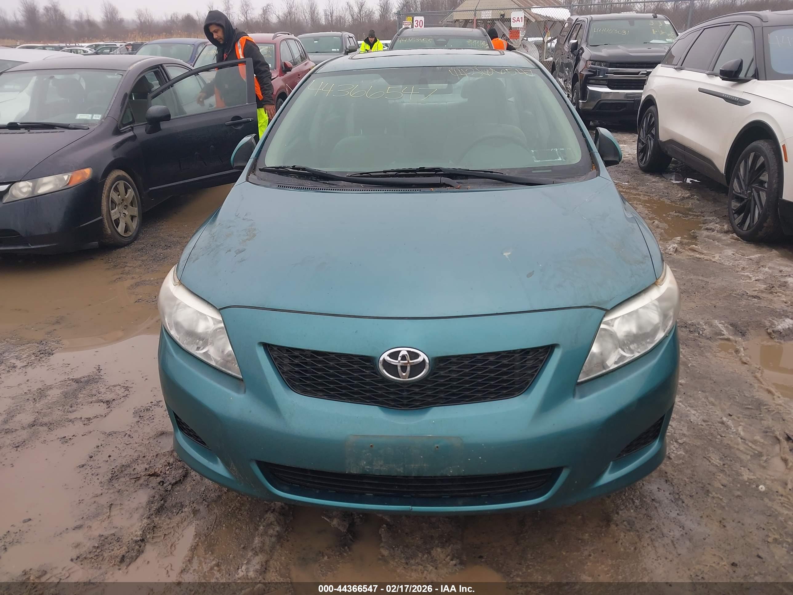 TOYOTA COROLLA image 6