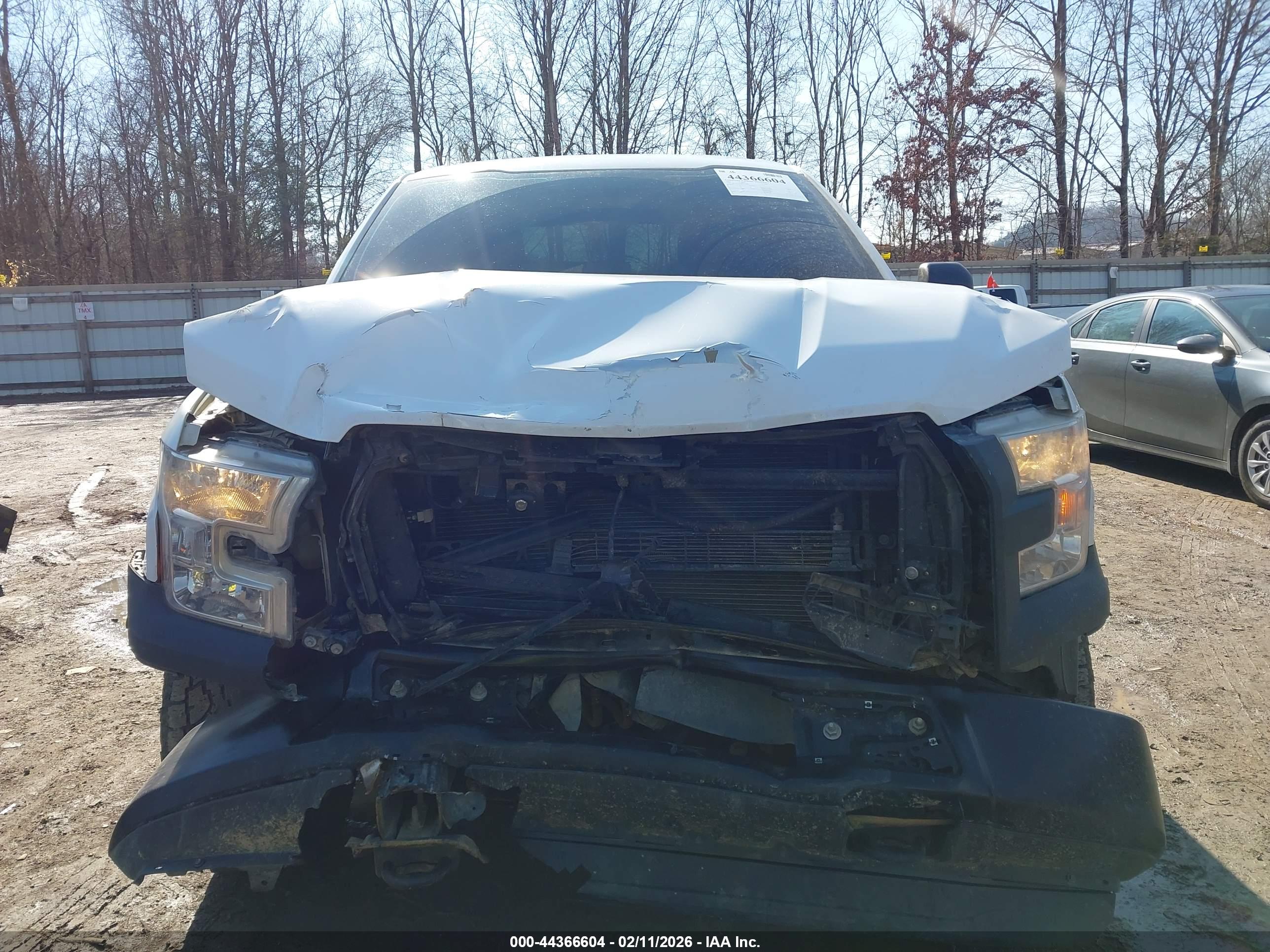FORD F-150 image 6