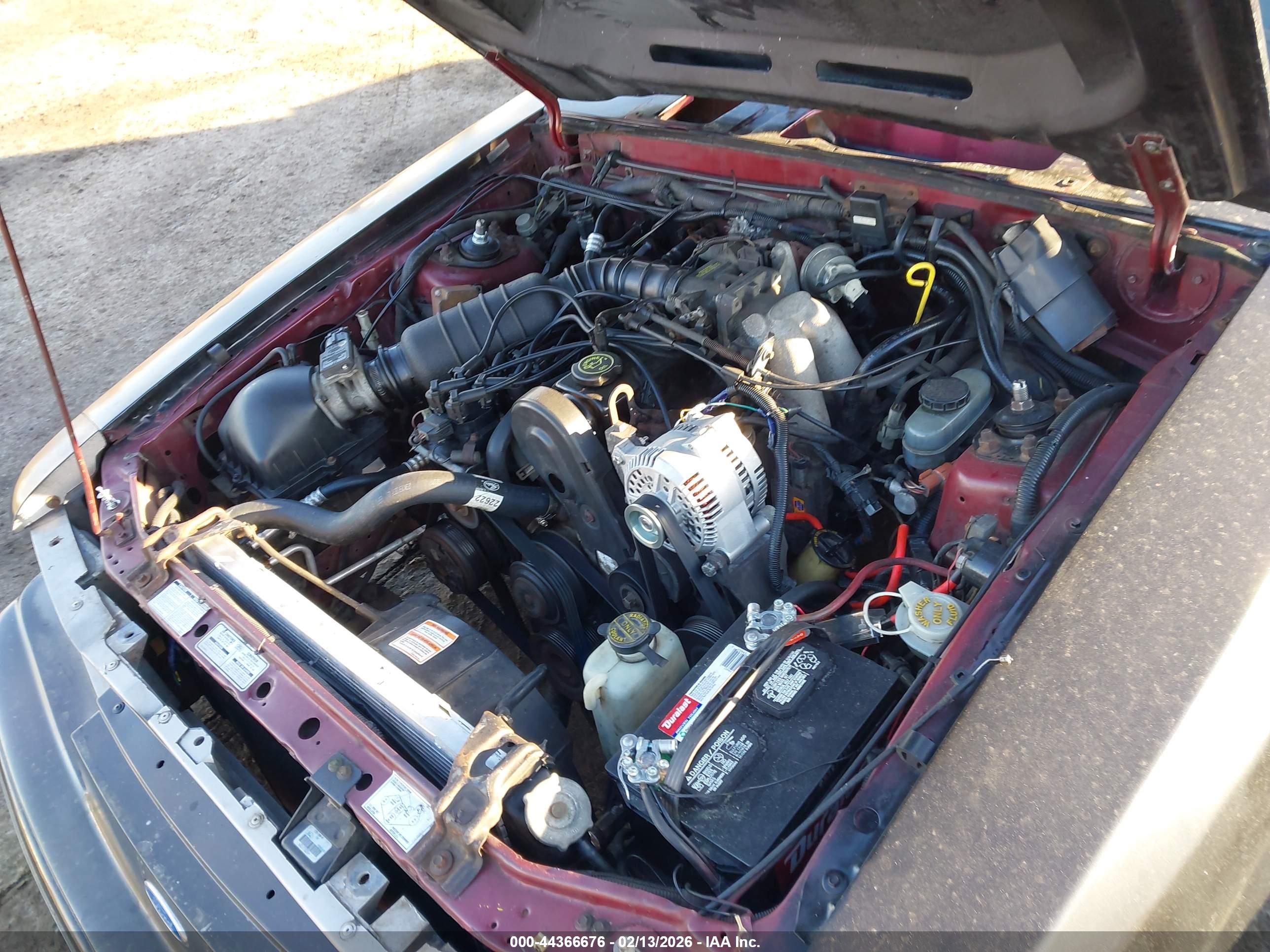 FORD MUSTANG image 10