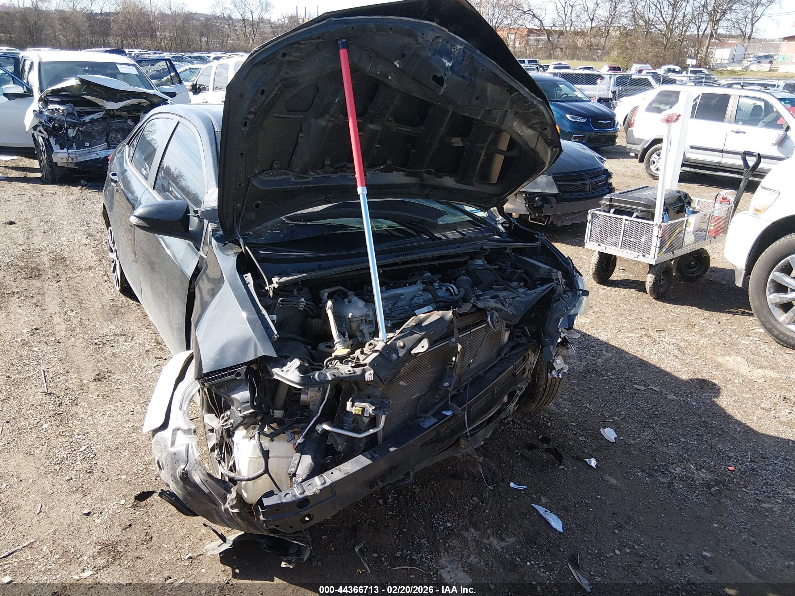 TOYOTA COROLLA image 6
