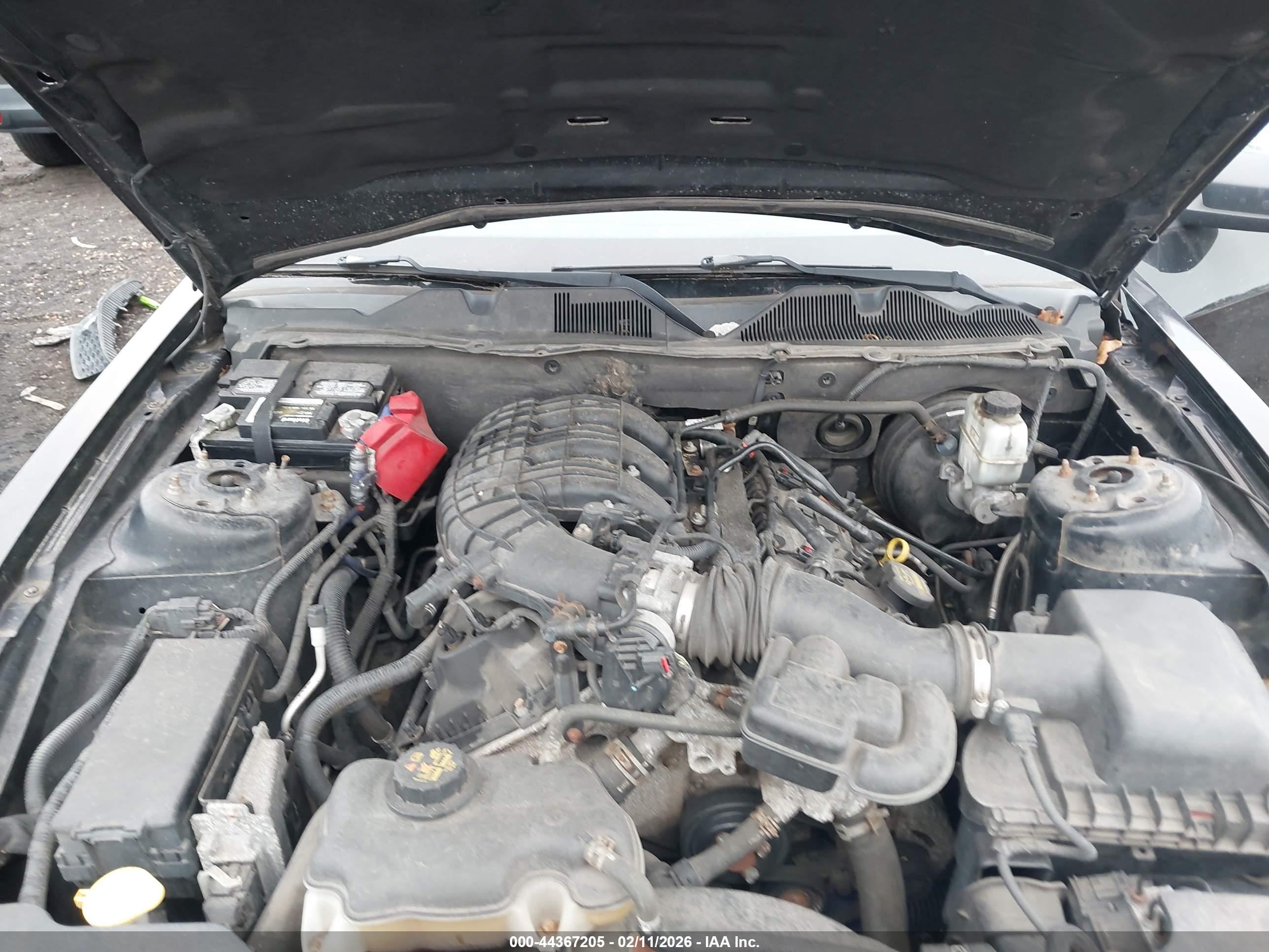 FORD MUSTANG image 10