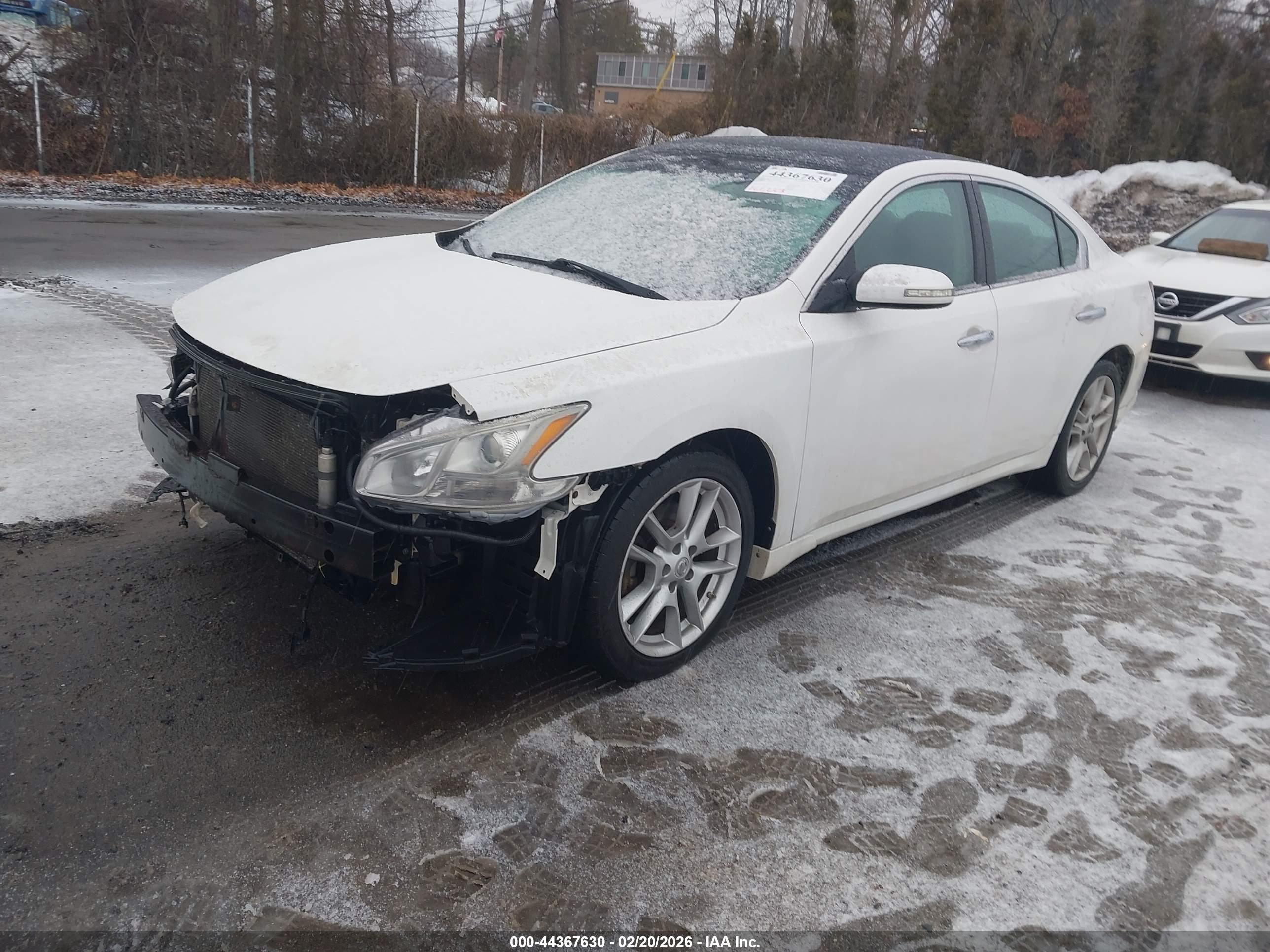 NISSAN MAXIMA image 2