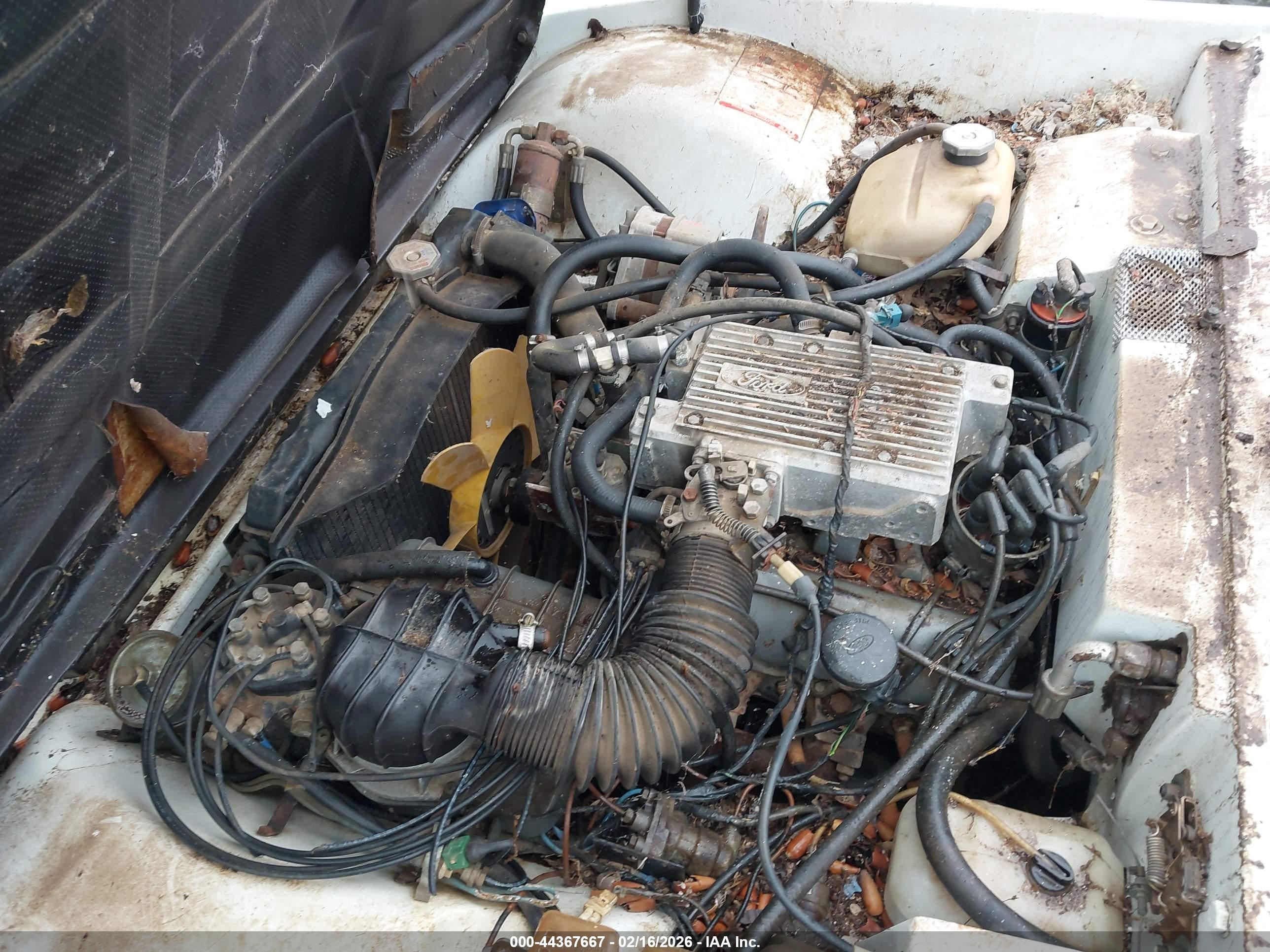 TVR TASMIN image 10
