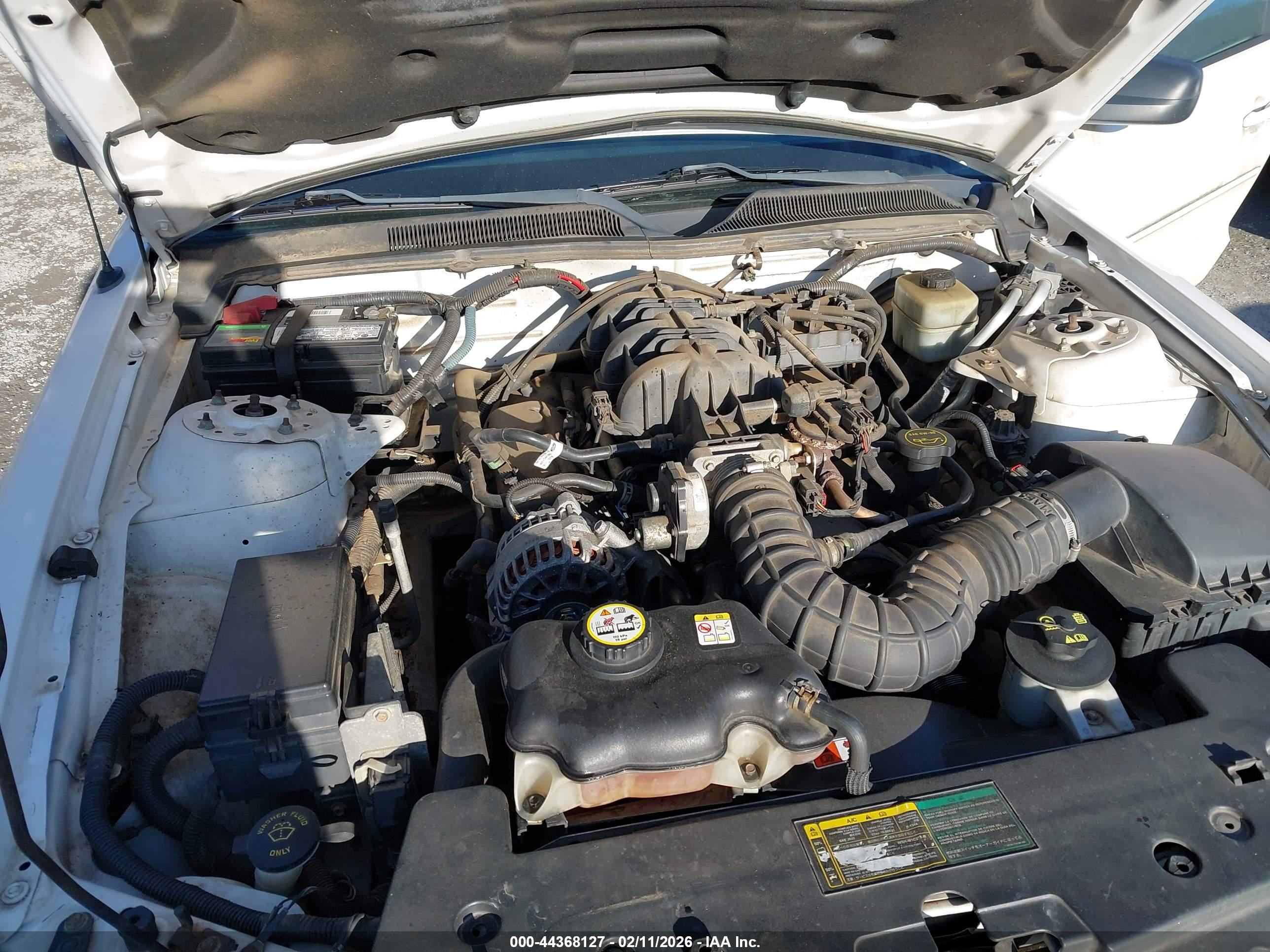 FORD MUSTANG image 10
