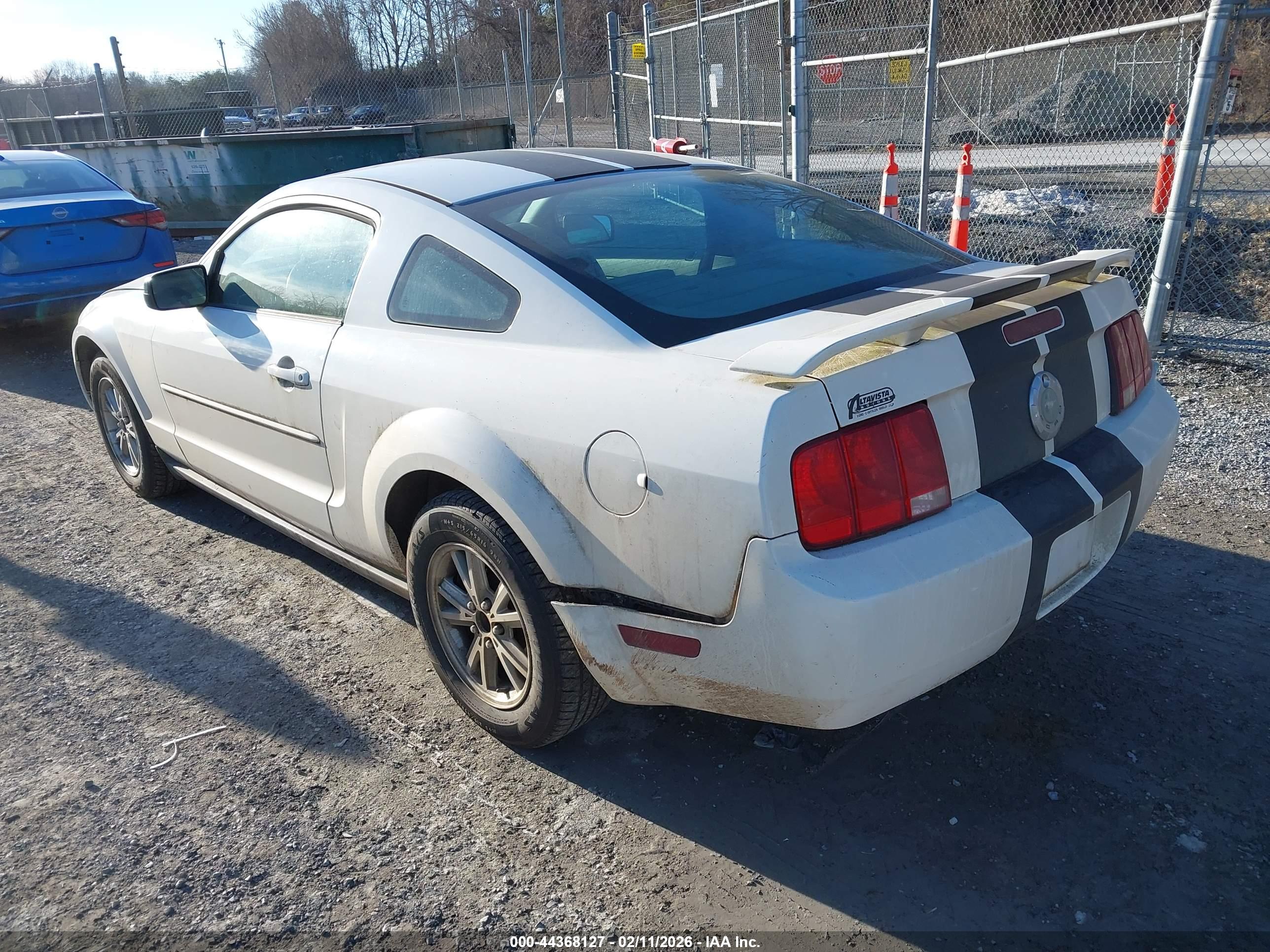 FORD MUSTANG image 3