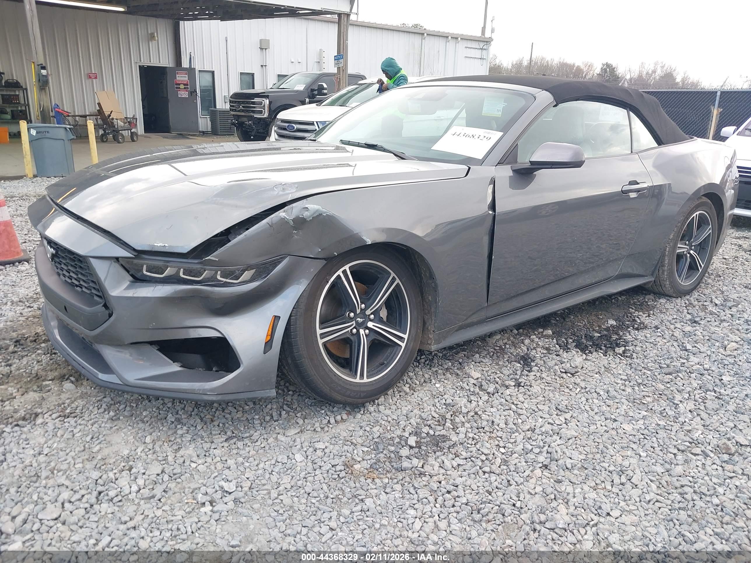 FORD MUSTANG image 2